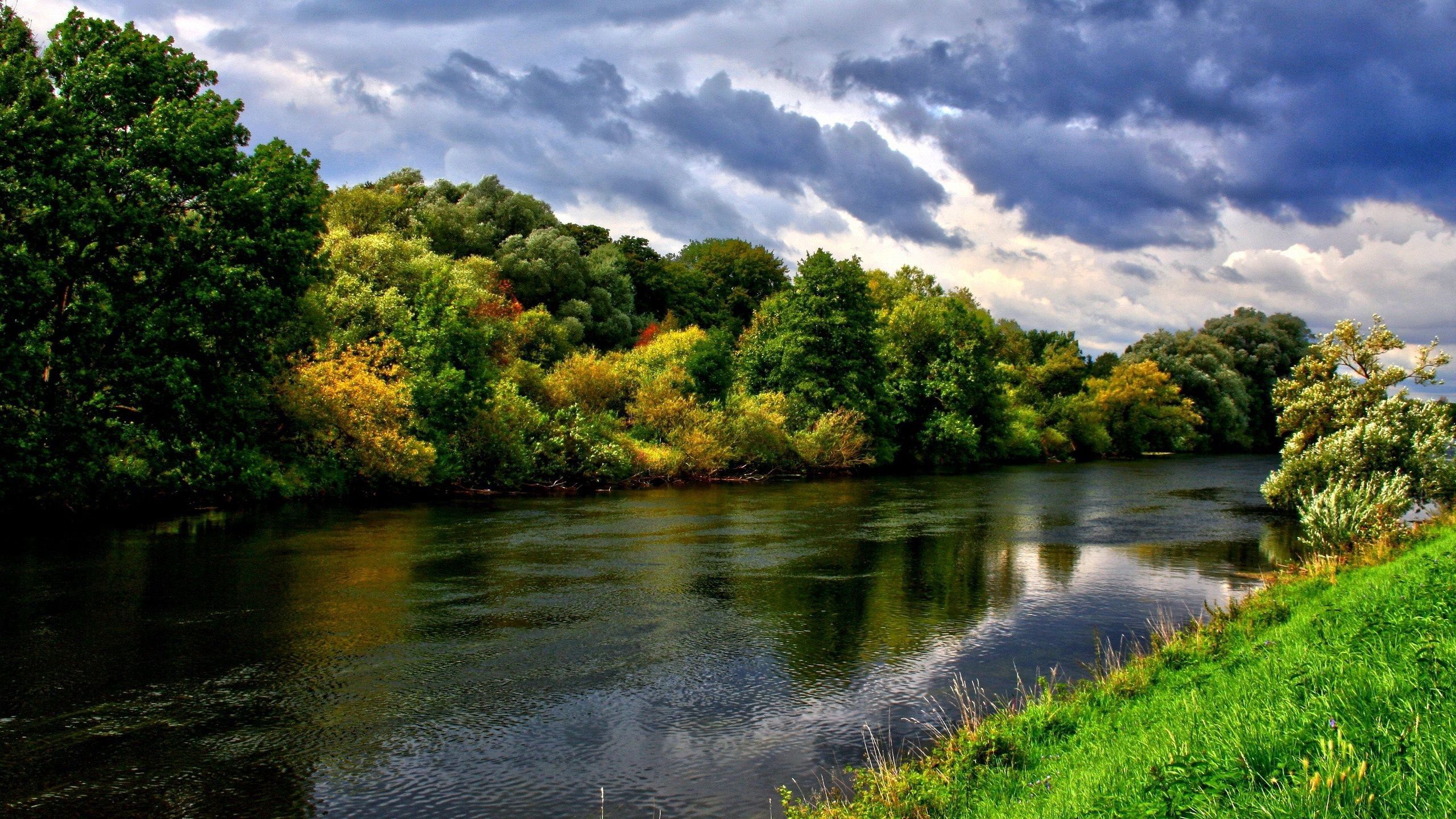 trees, rivers, nature, summer, greens 1080p