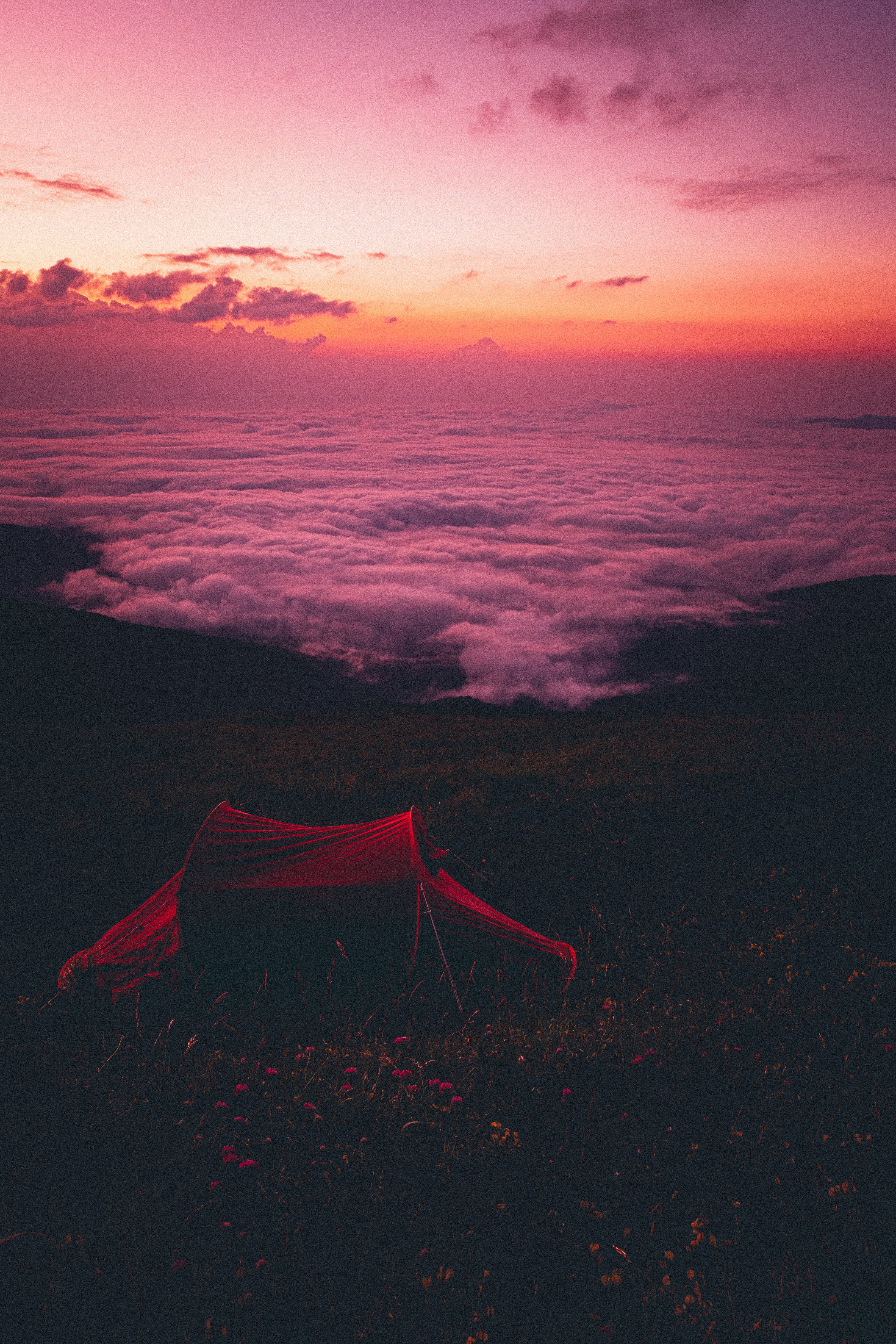 nature, sunset, clouds, handsomely, it's beautiful, tent, camping, campsite HD wallpaper