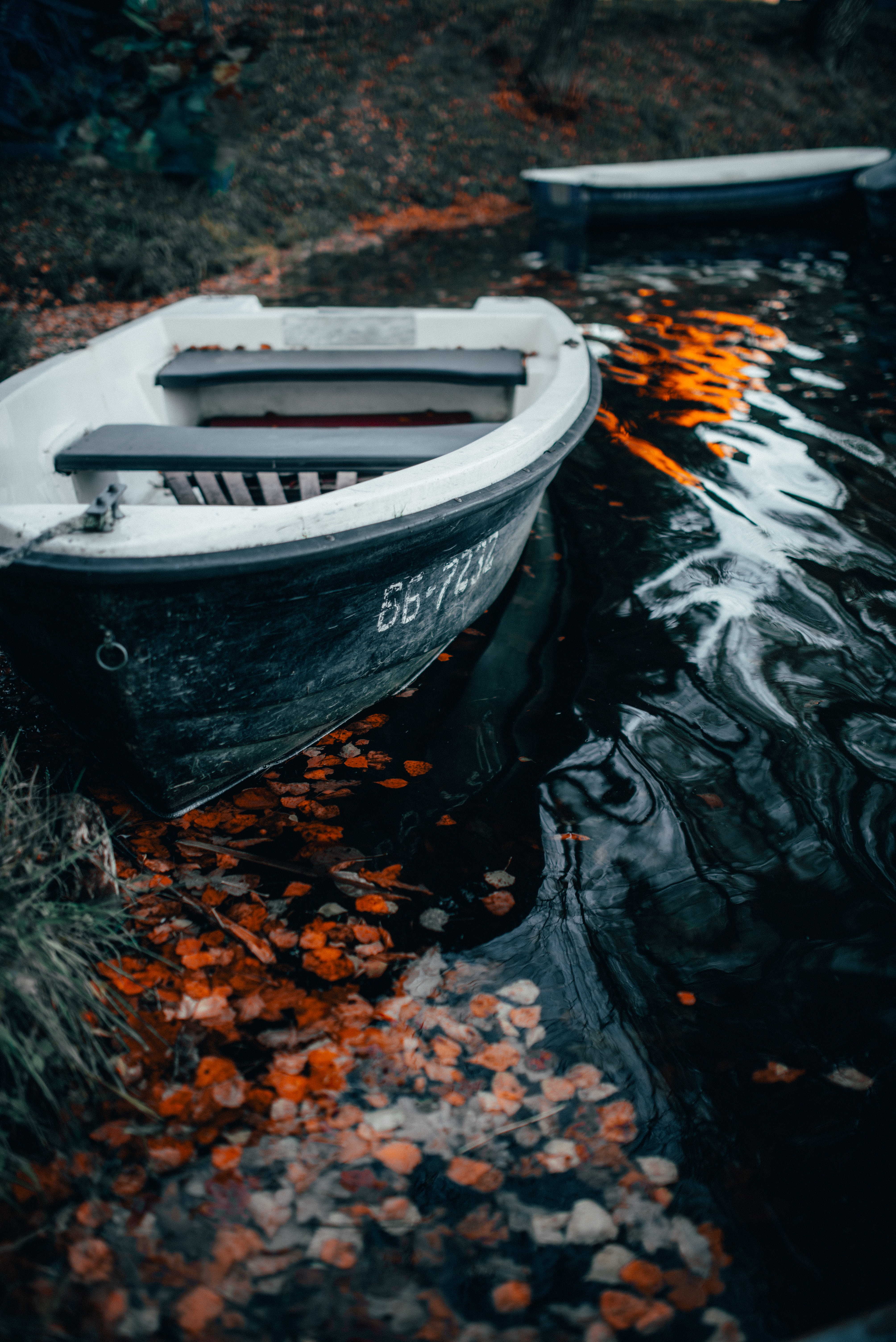 miscellaneous, miscellanea, water, waves, shore, bank, boat, foliage for android