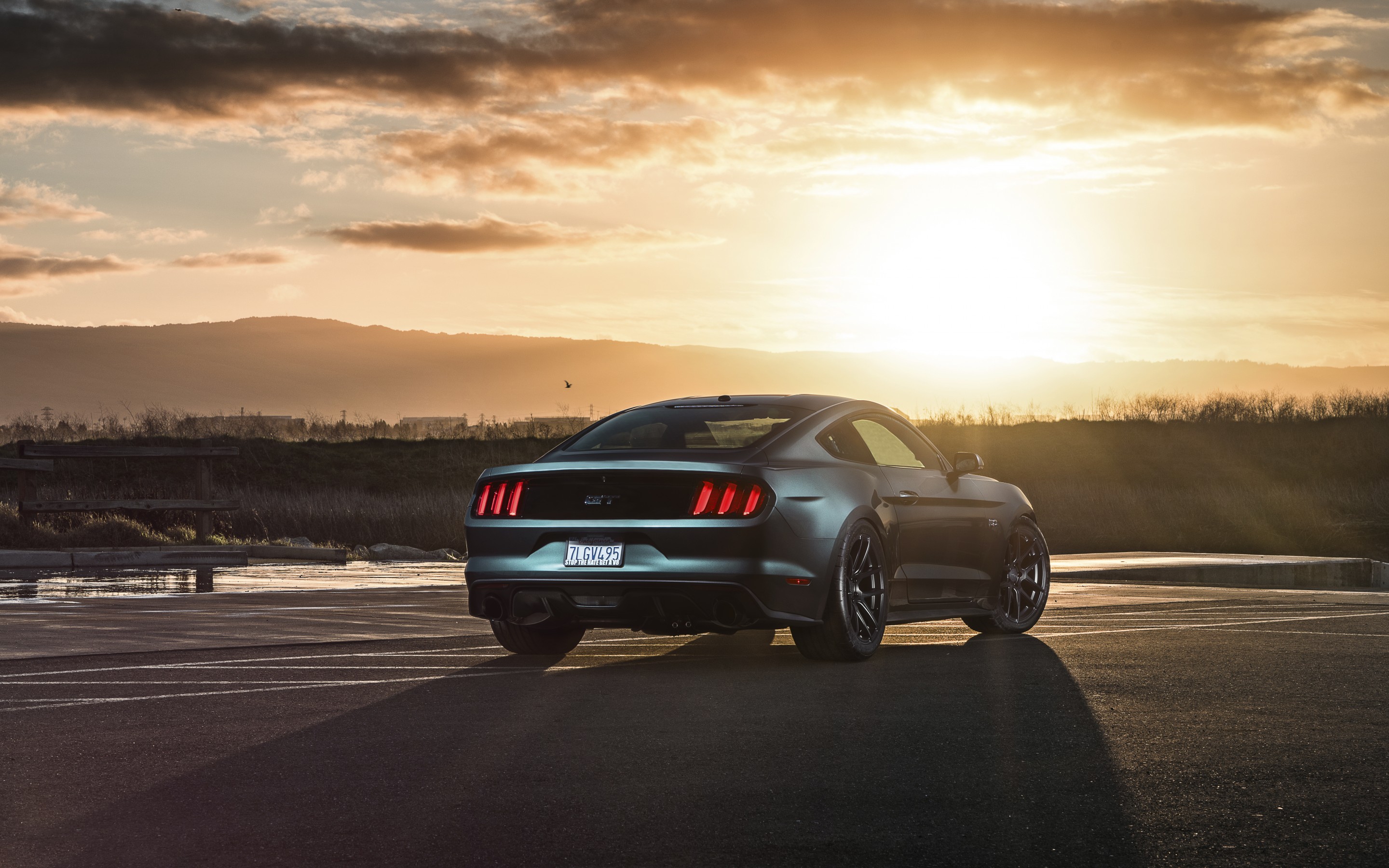 ford mustang, cars, gt, 2015 images