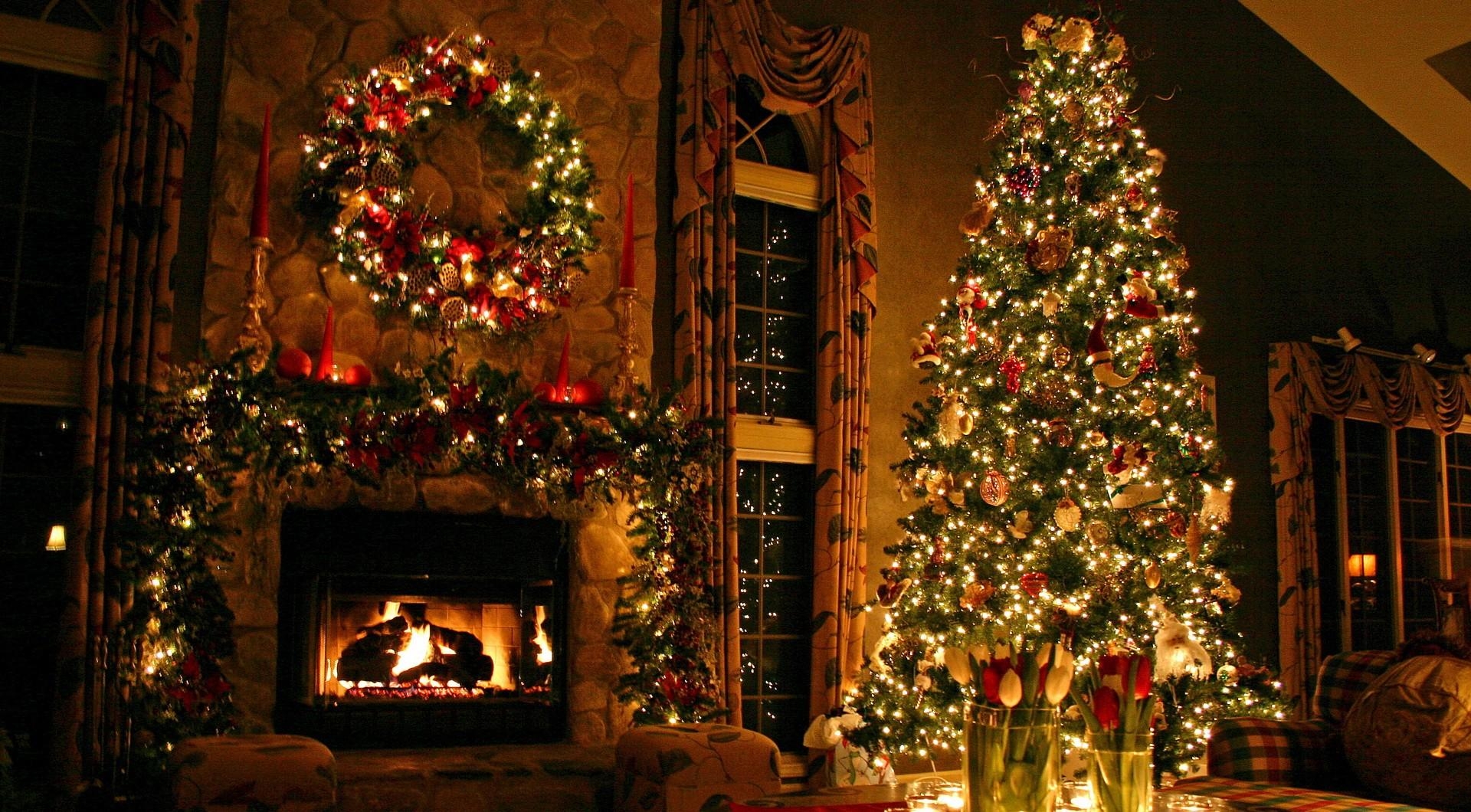 comfort, holidays, flowers, decorations, holiday, house, christmas decorations, christmas tree toys, christmas tree, coziness, fireplace HD wallpaper