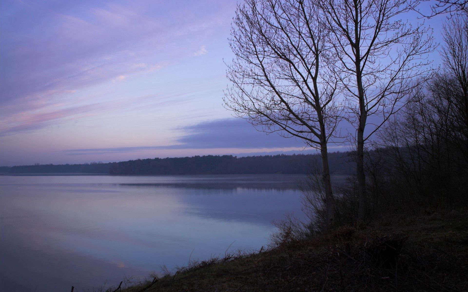 UHD wallpaper lake, fog, wood, morning
