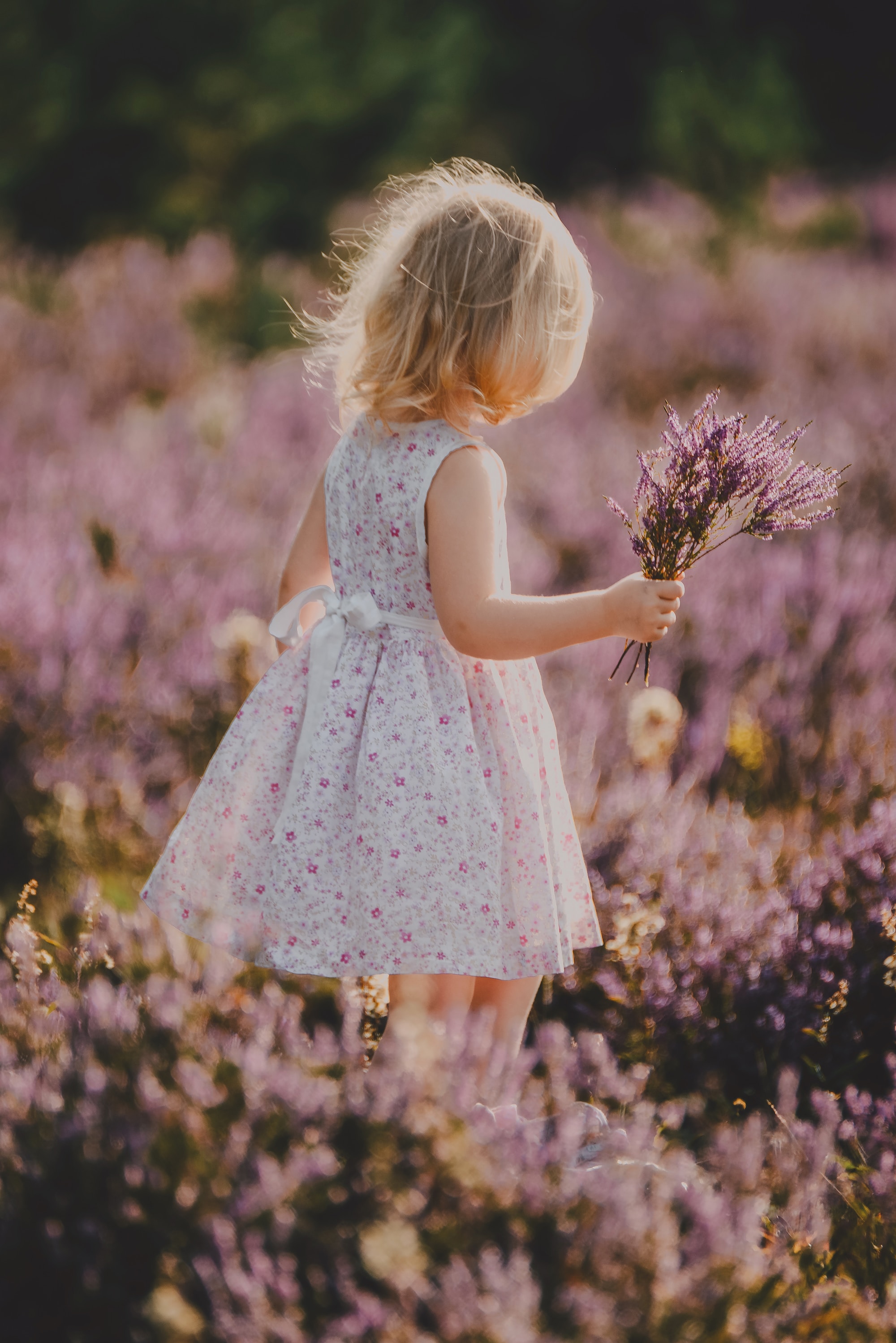 Laden Sie das Blumen, Verschiedenes, Sonstige, Strauß, Bouquet, Feld, Kind, Lavendel-Bild kostenlos auf Ihren PC-Desktop herunter