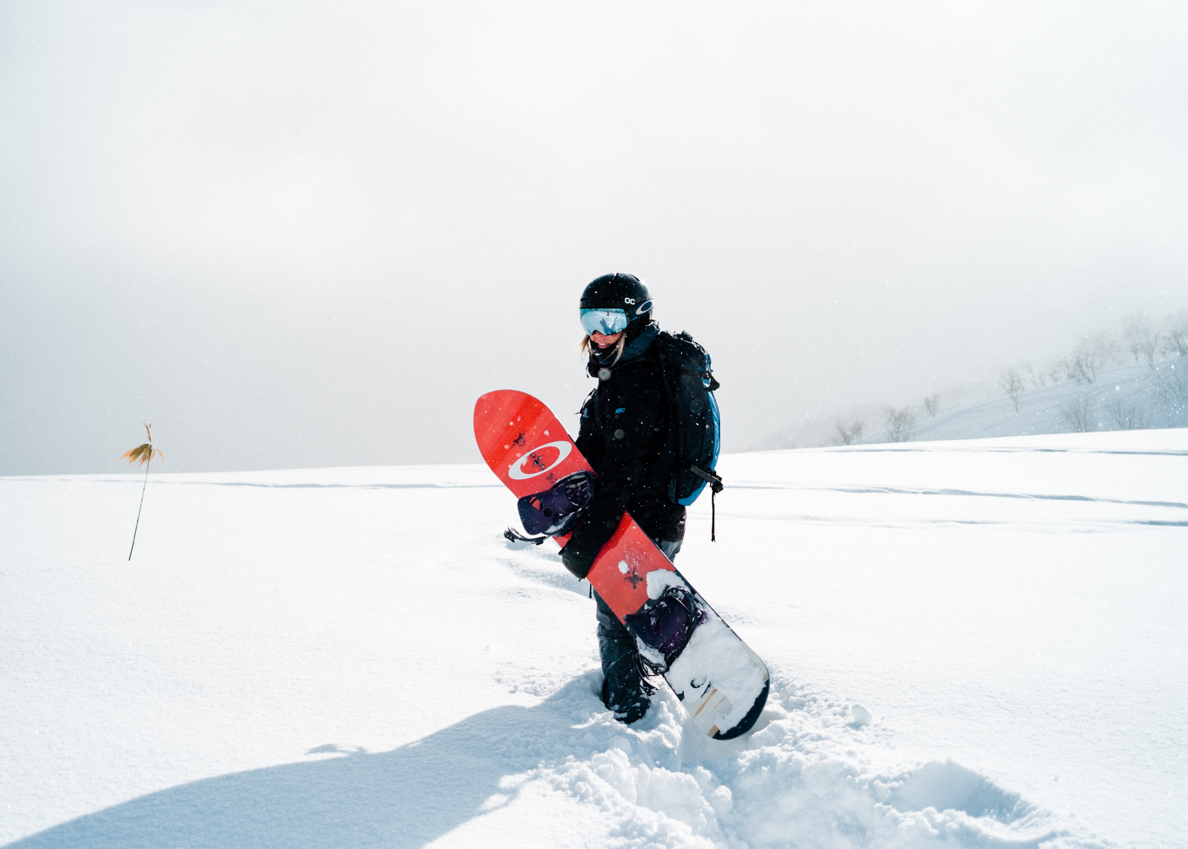 Die besten Snowboard-Hintergründe für den Telefonbildschirm