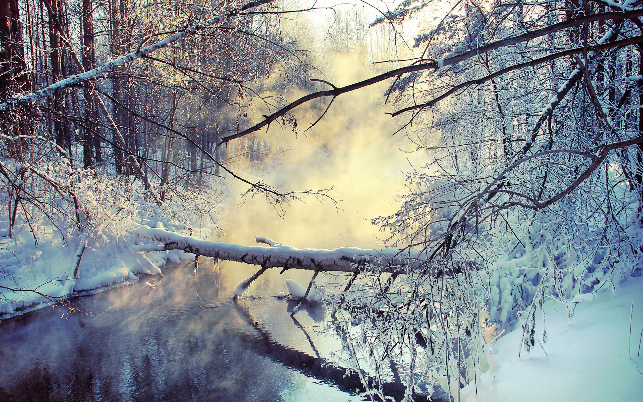 87368 download wallpaper winter, nature, snow, lake, wood, tree, morning, steam screensavers and pictures for free