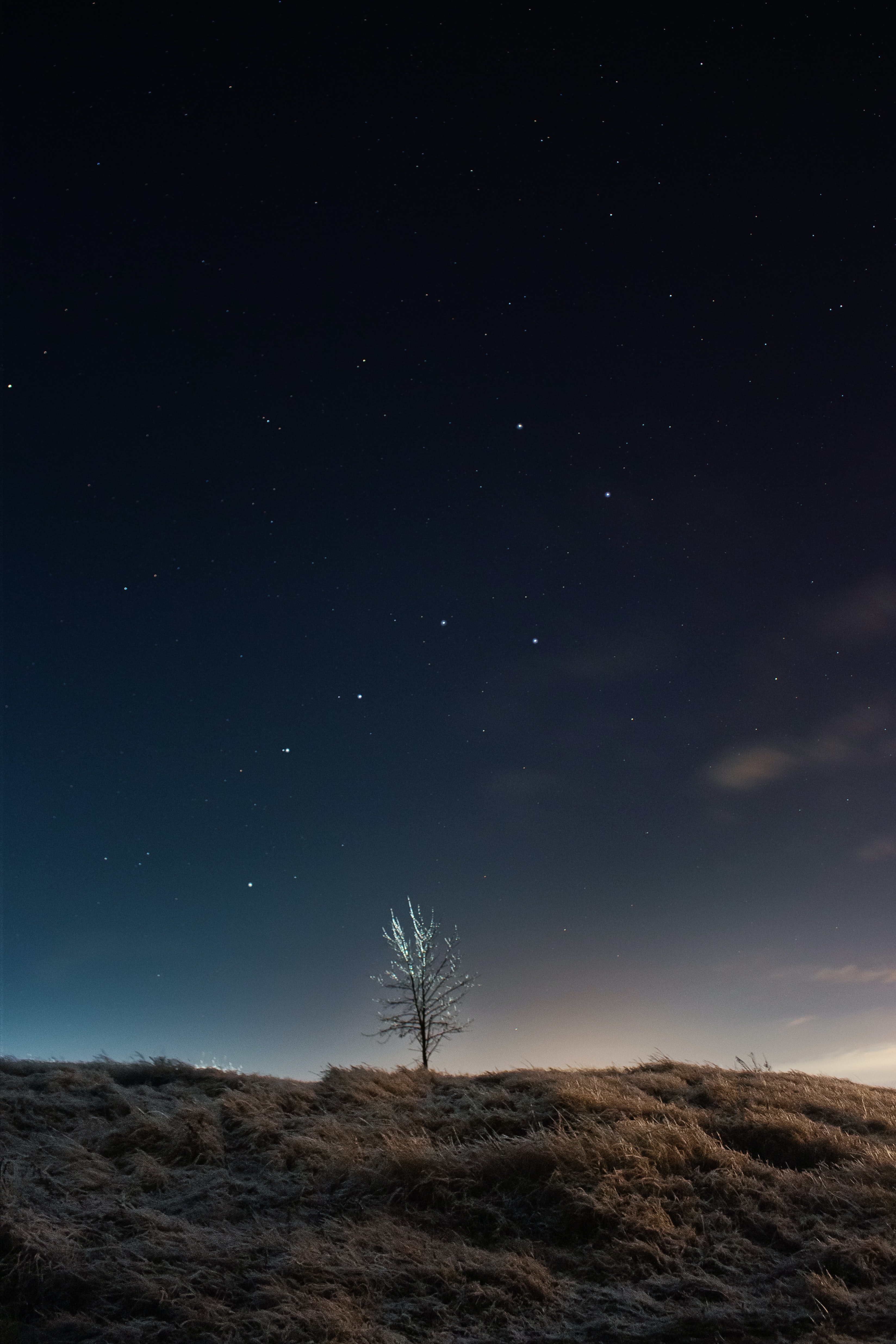 Laden Sie das Sterne, Übernachtung, Dunkel, Holz, Baum, Feld-Bild kostenlos auf Ihren PC-Desktop herunter