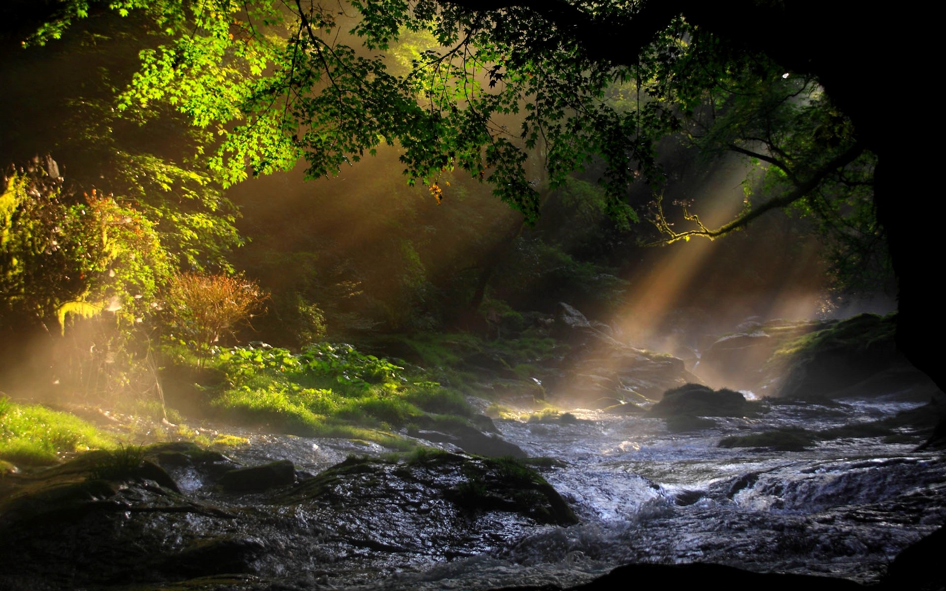 Лесной водопад солнце