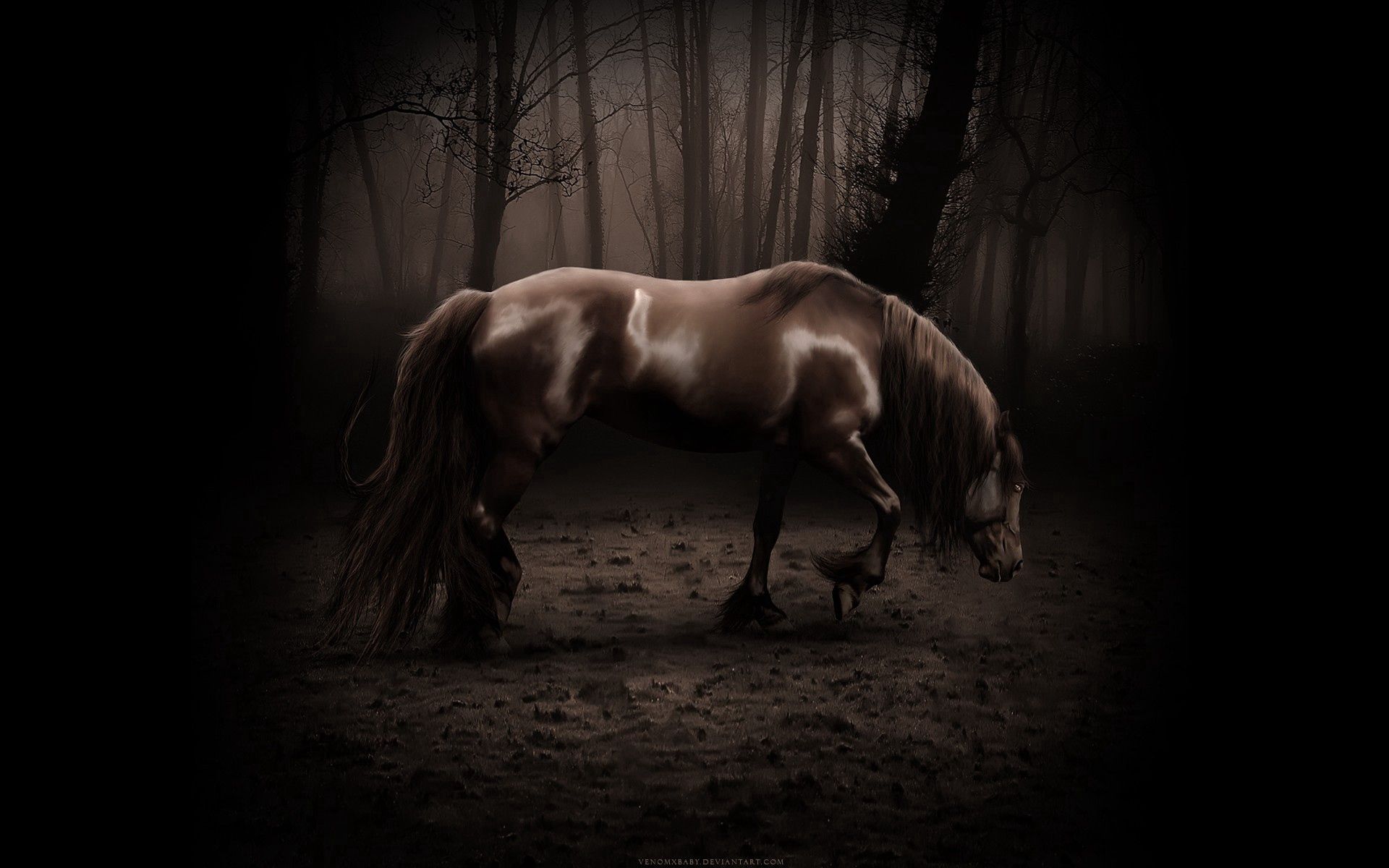 Smartphone Background horse, dark, beautiful, shadow