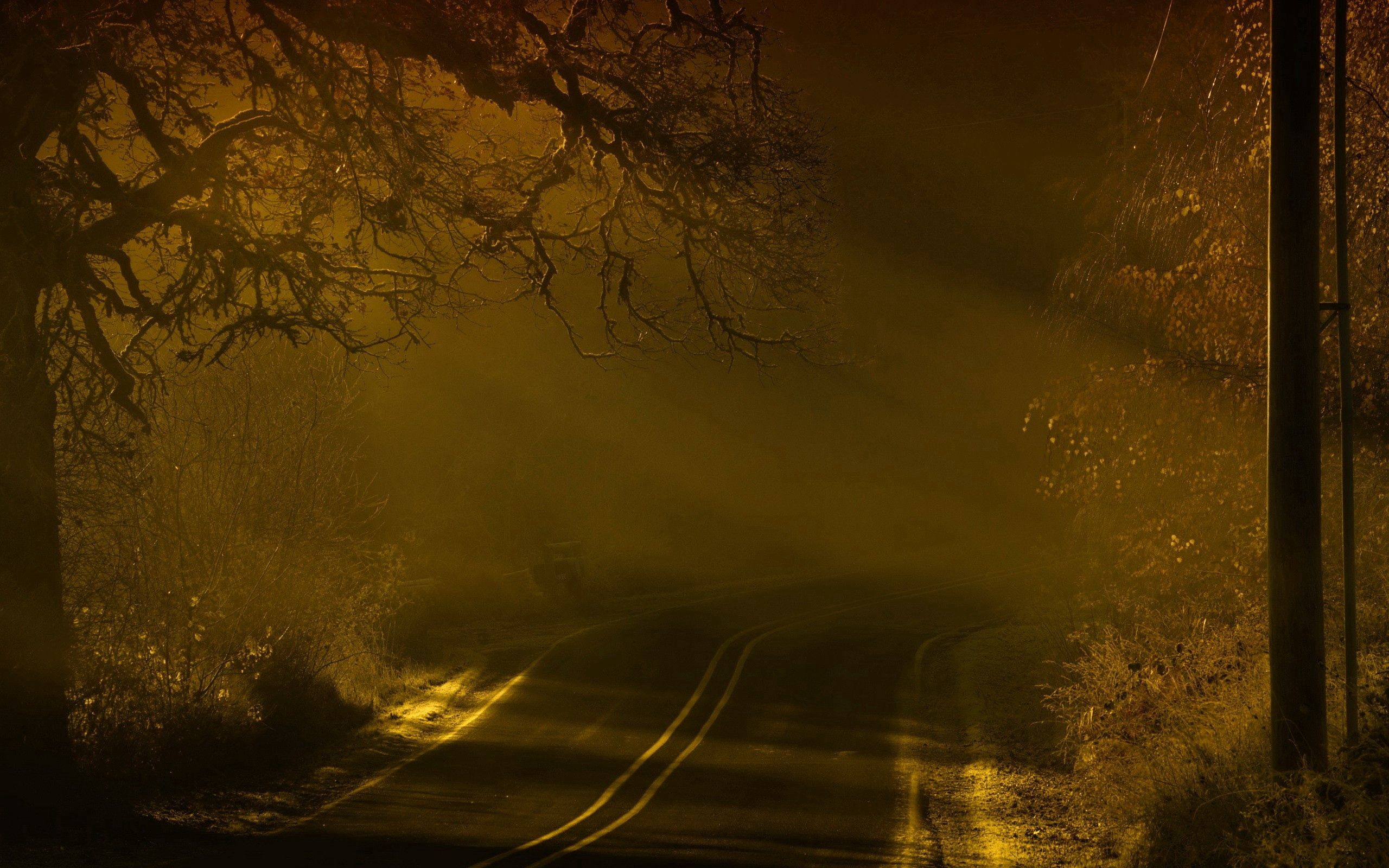 nature, night, road, fog HD Wallpaper for Phone