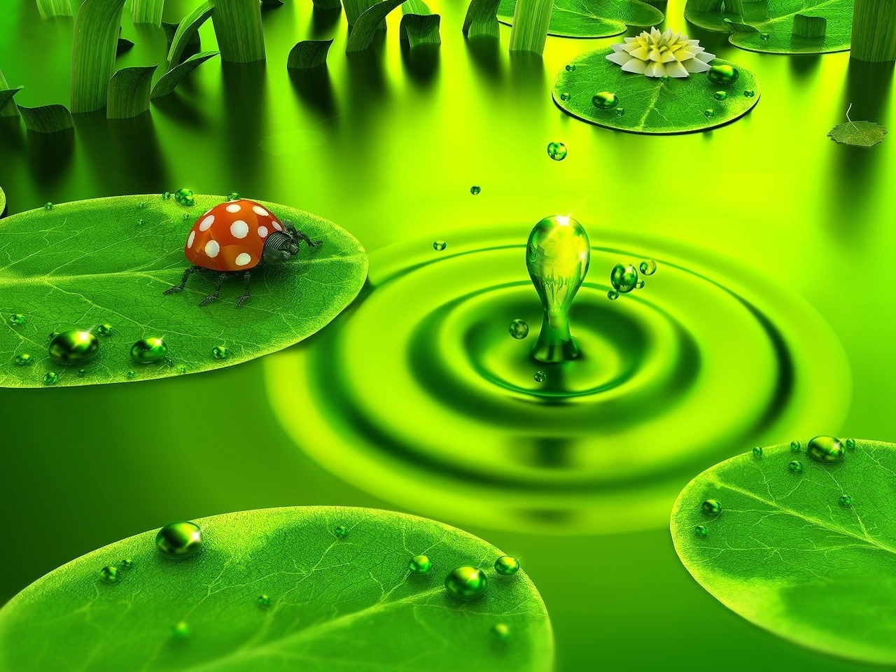 Phone Background Full HD green, ladybugs, pictures