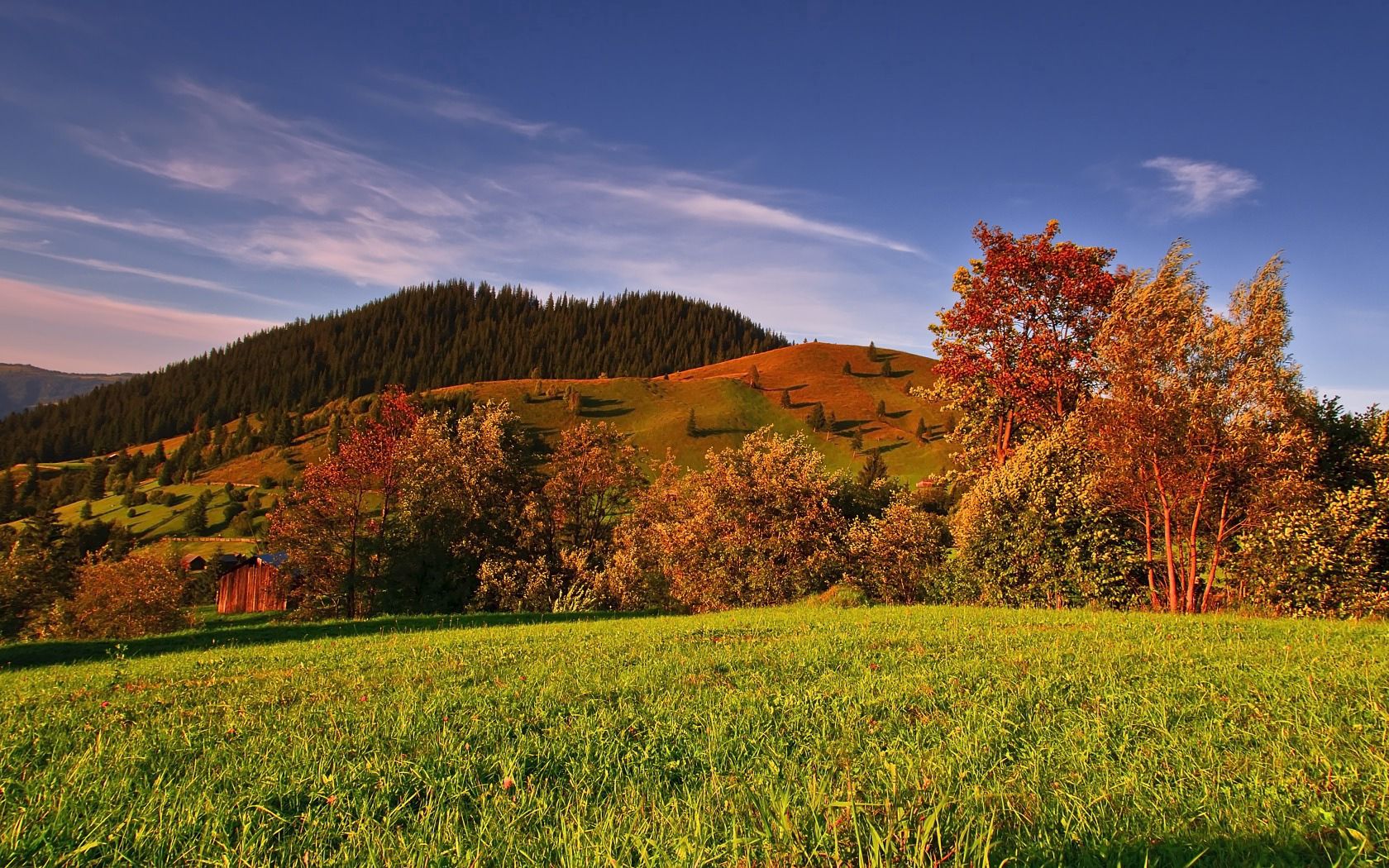 Handy-Wallpaper Natur, Bäume, Grass, Sky, Herbst, Feld kostenlos herunterladen.