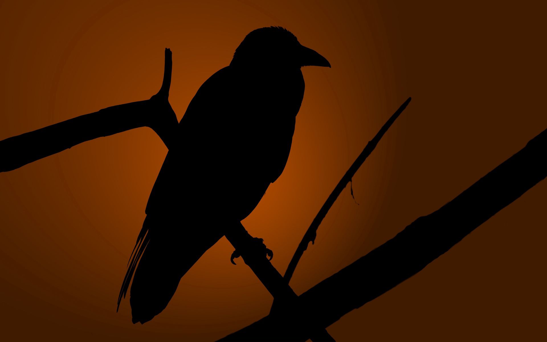 raven, dark, silhouette, bird, shadow for android