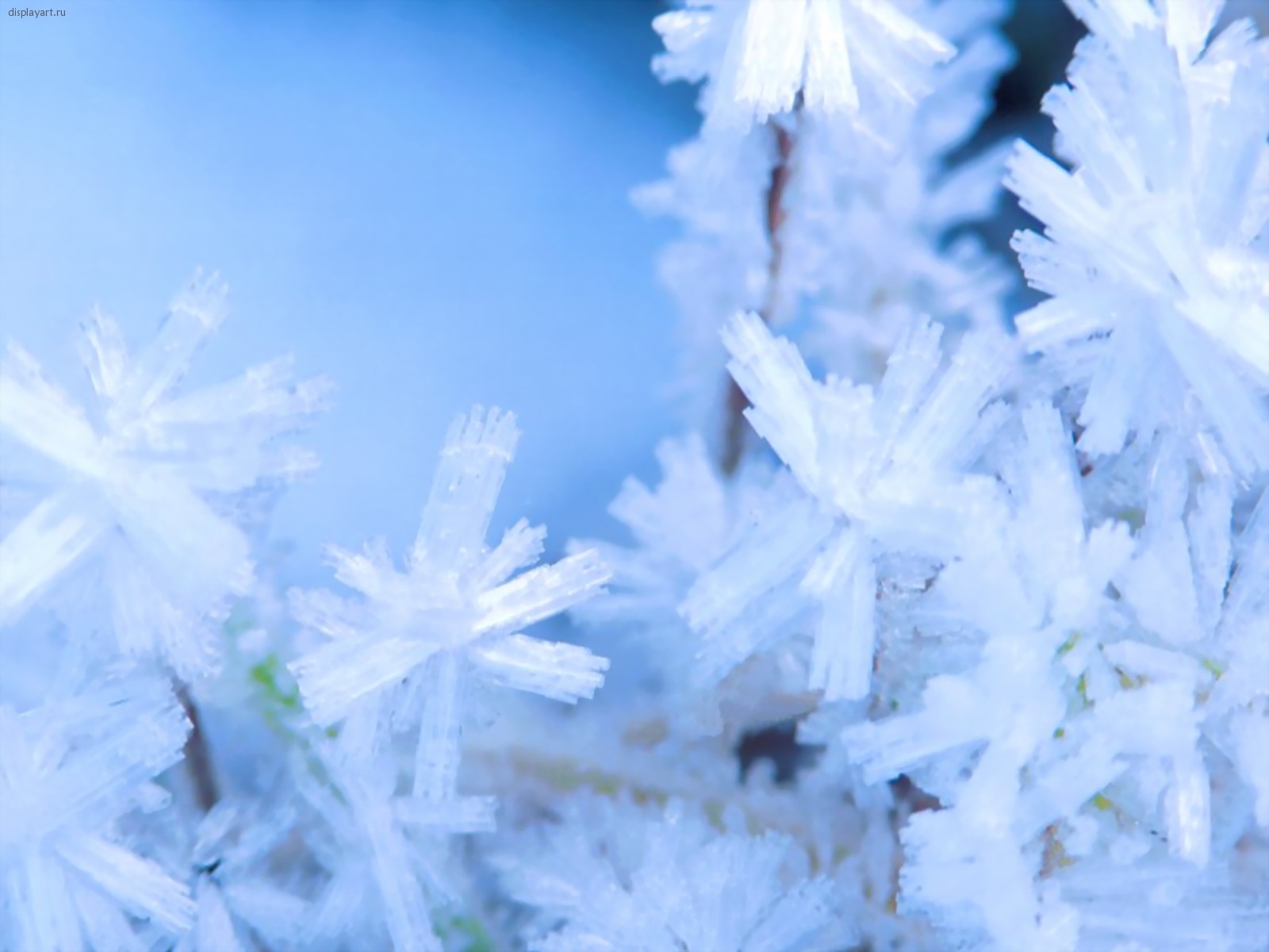 snowflakes, winter, background, blue