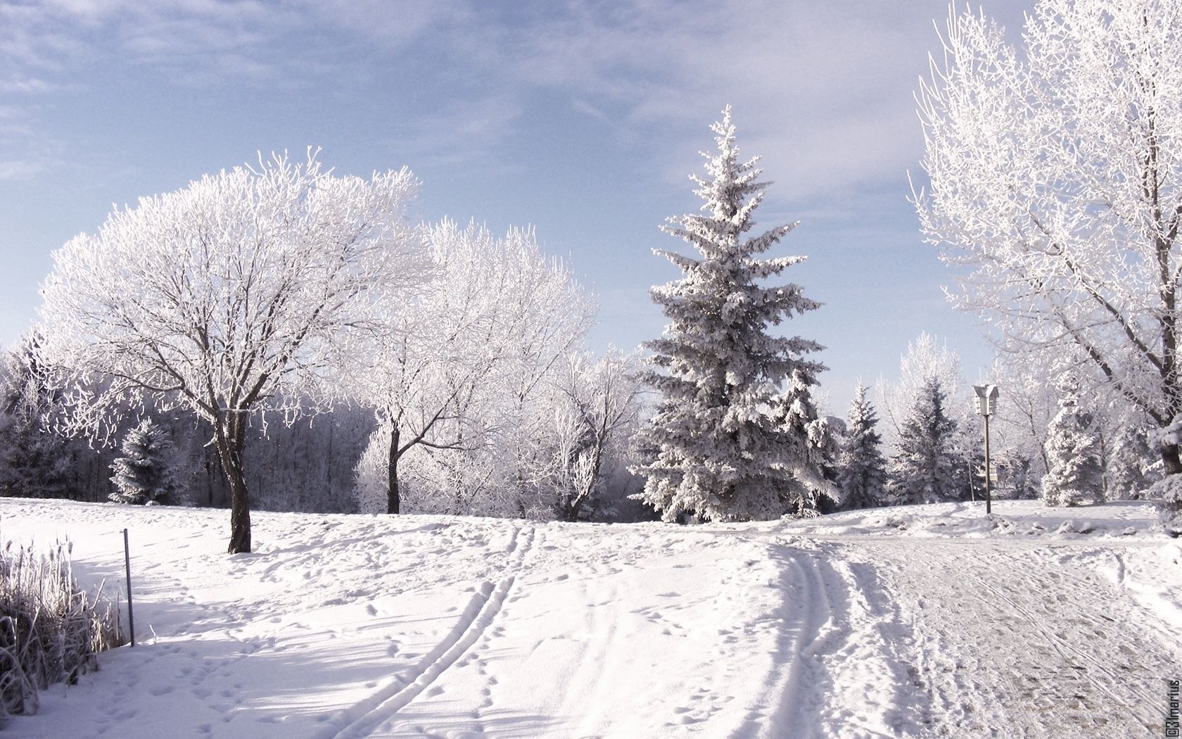 Handy-Wallpaper Winter, Natur, Bäume, Mountains, Schnee, Spuren, Der Tag, Tag, Ski, Piste kostenlos herunterladen.