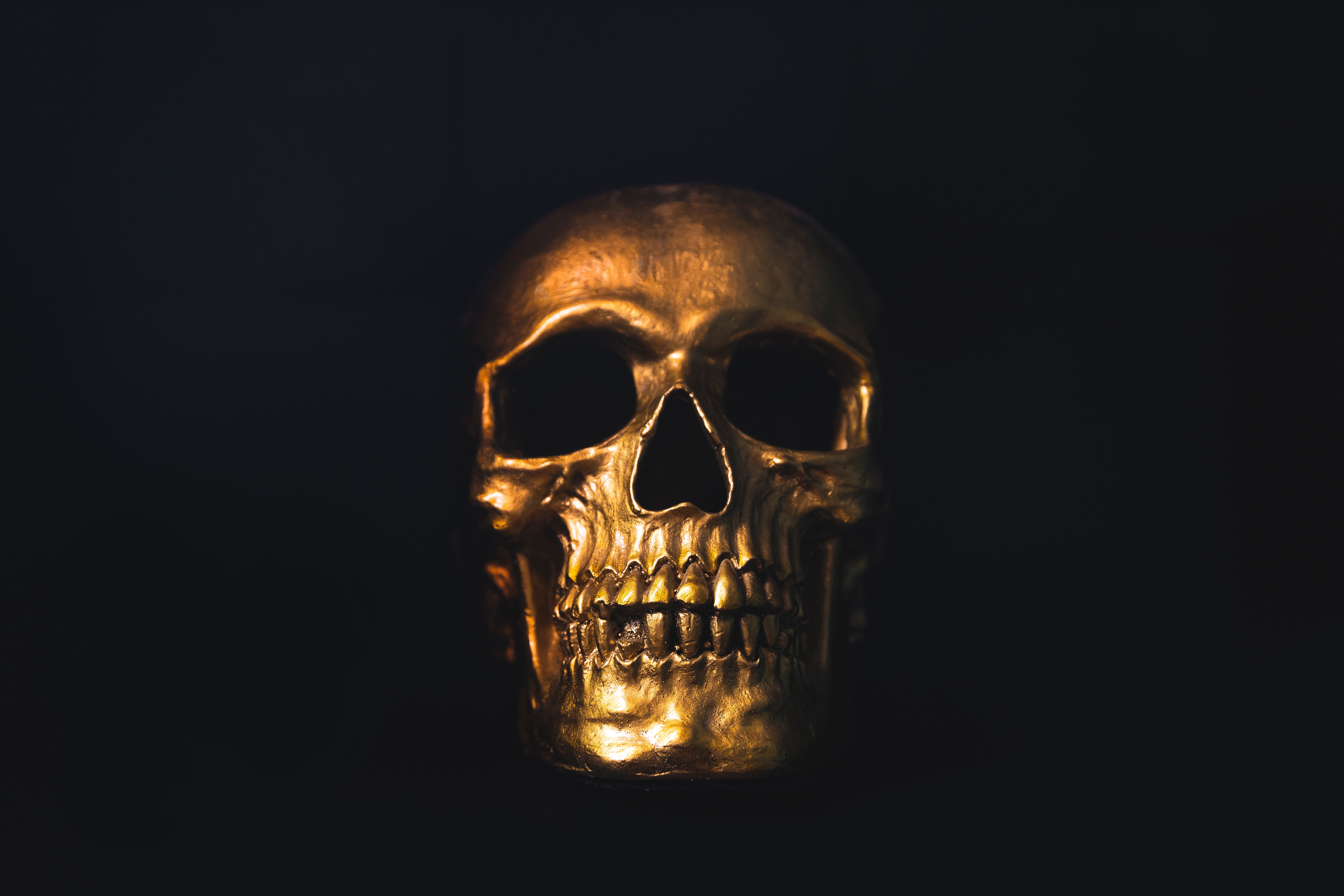 skull, ornament, gold, shine, brilliance, dark