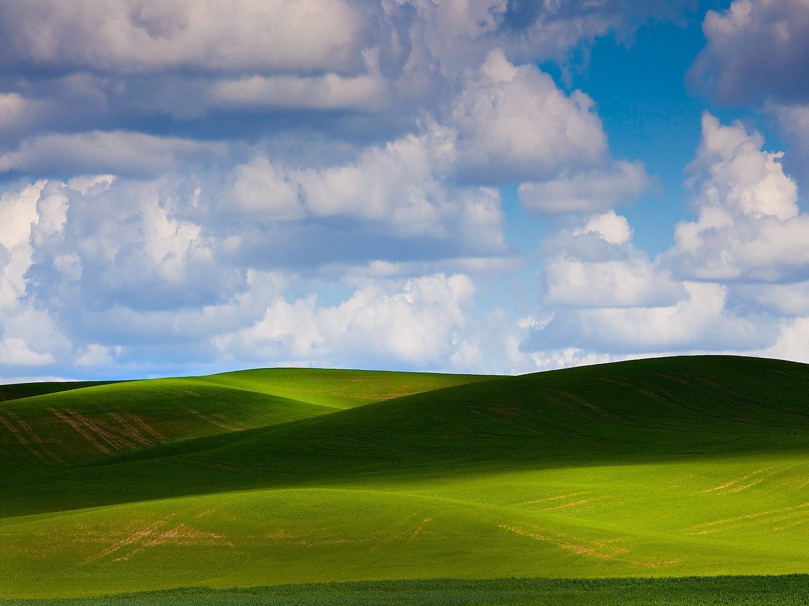 114367 Hintergrundbilder und Wiesen Bilder auf dem Desktop. Laden Sie natur, grünen, sky, einfach Bildschirmschoner kostenlos auf den PC herunter