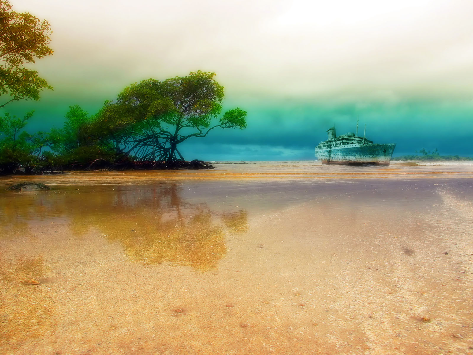 beach, photography, reflection, tropical, mangrove, shipwreck