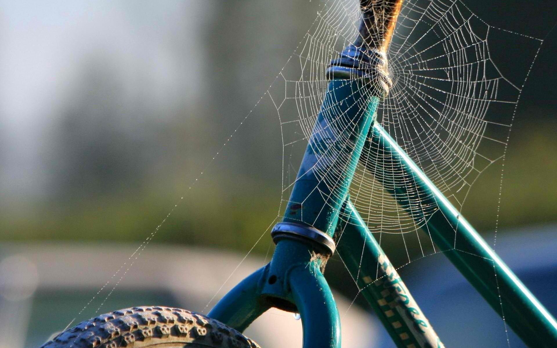 Widescreen image miscellanea, frame, wheel, bicycle