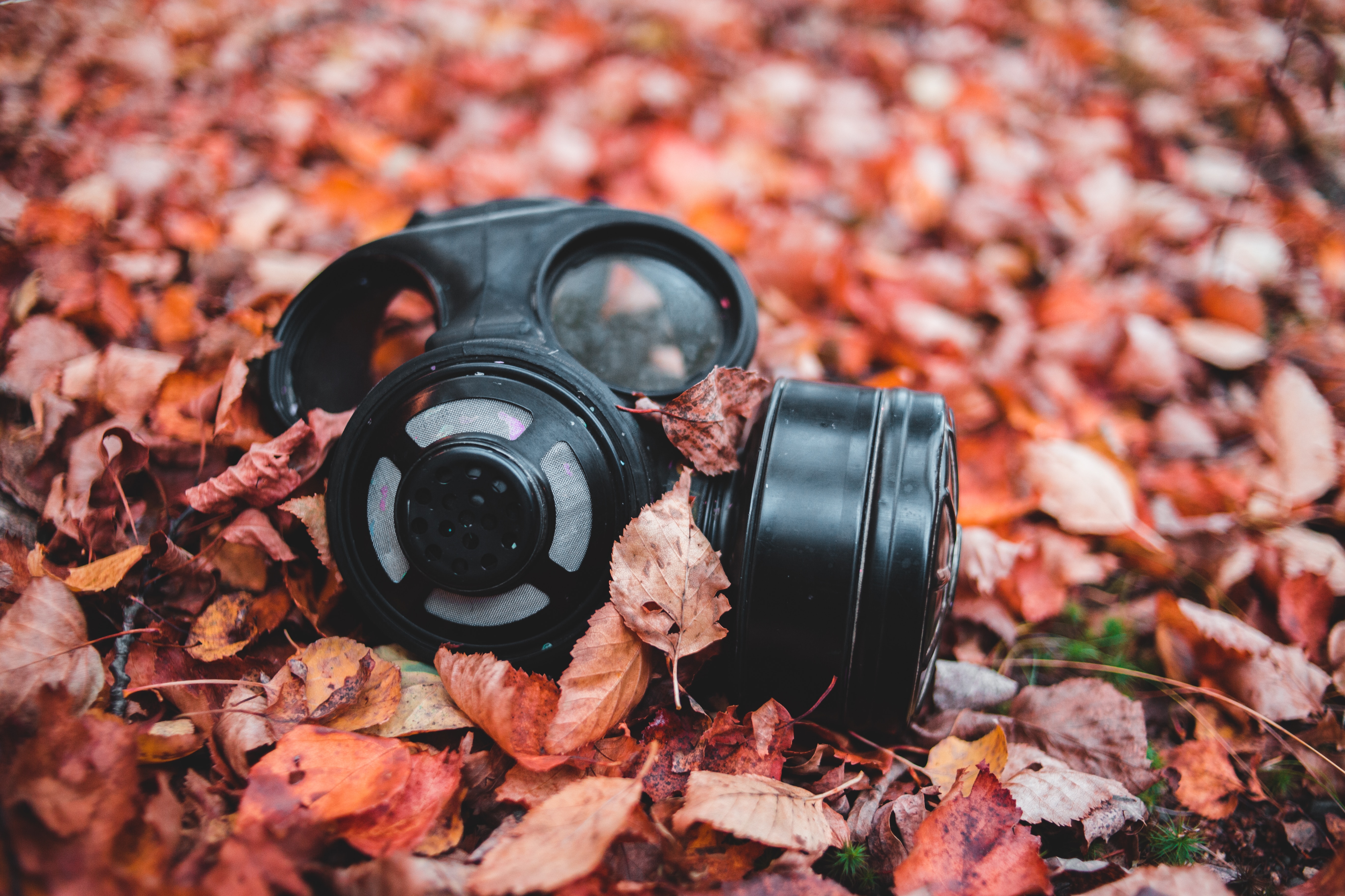 90513 Screensavers and Wallpapers Fallen for phone. Download autumn, miscellanea, miscellaneous, foliage, fallen, respirator pictures for free