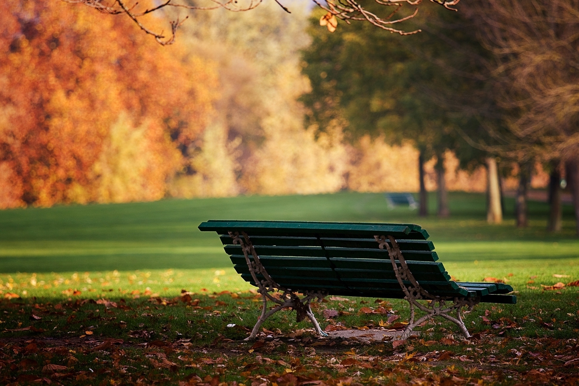109231 скачать обои одинокая, октябрь, природа, осень, листья, парк, земля, скамейка - заставки и картинки бесплатно