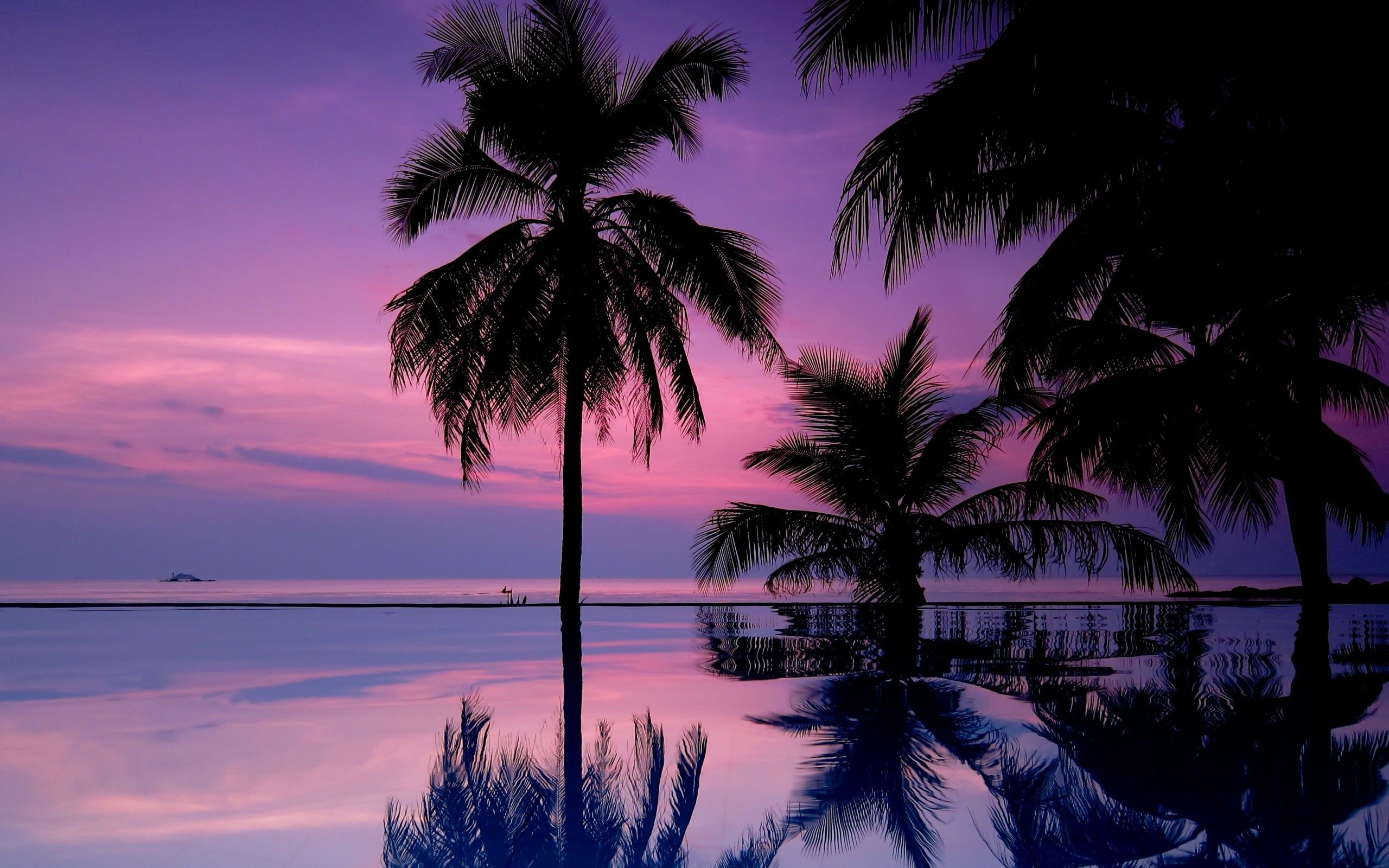 Laden Sie das Übernachtung, Natur, Palms, Silhouetten-Bild kostenlos auf Ihren PC-Desktop herunter