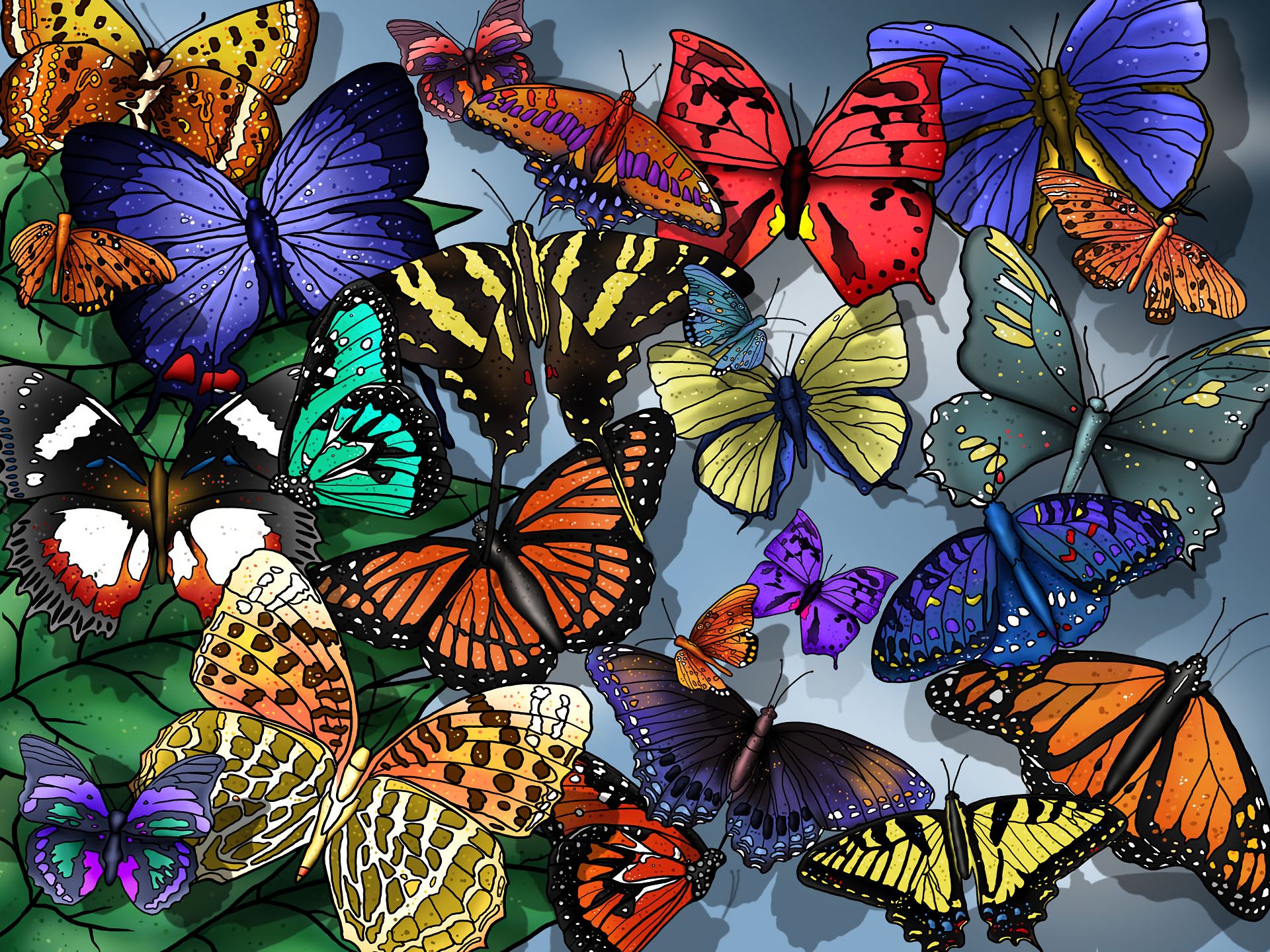 Картинки много бабочек красивые