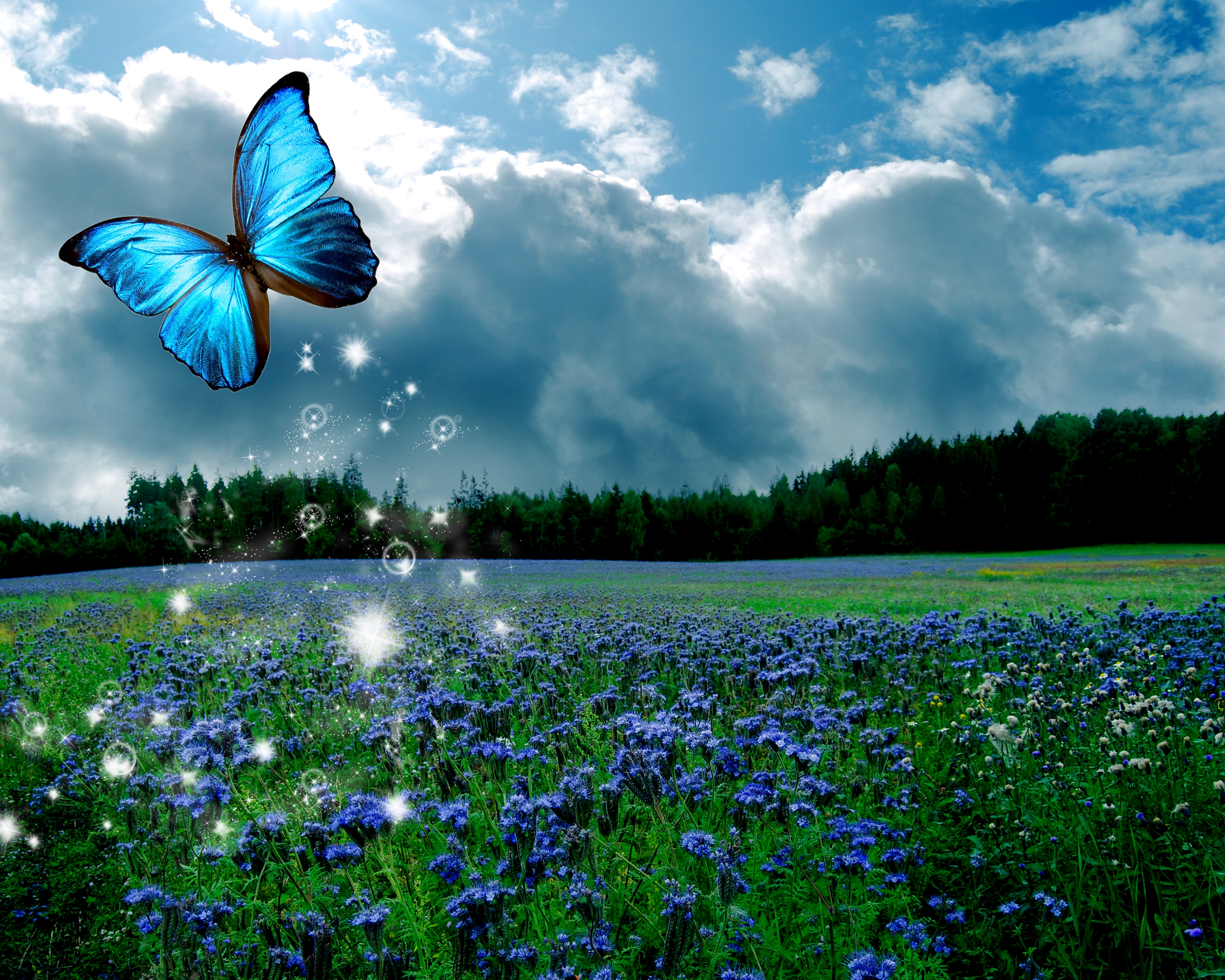 А лето цвета неба. Пейзаж с бабочками. Лето бабочки. Красивые пейзажи с бабочками. Бабочки в природе.