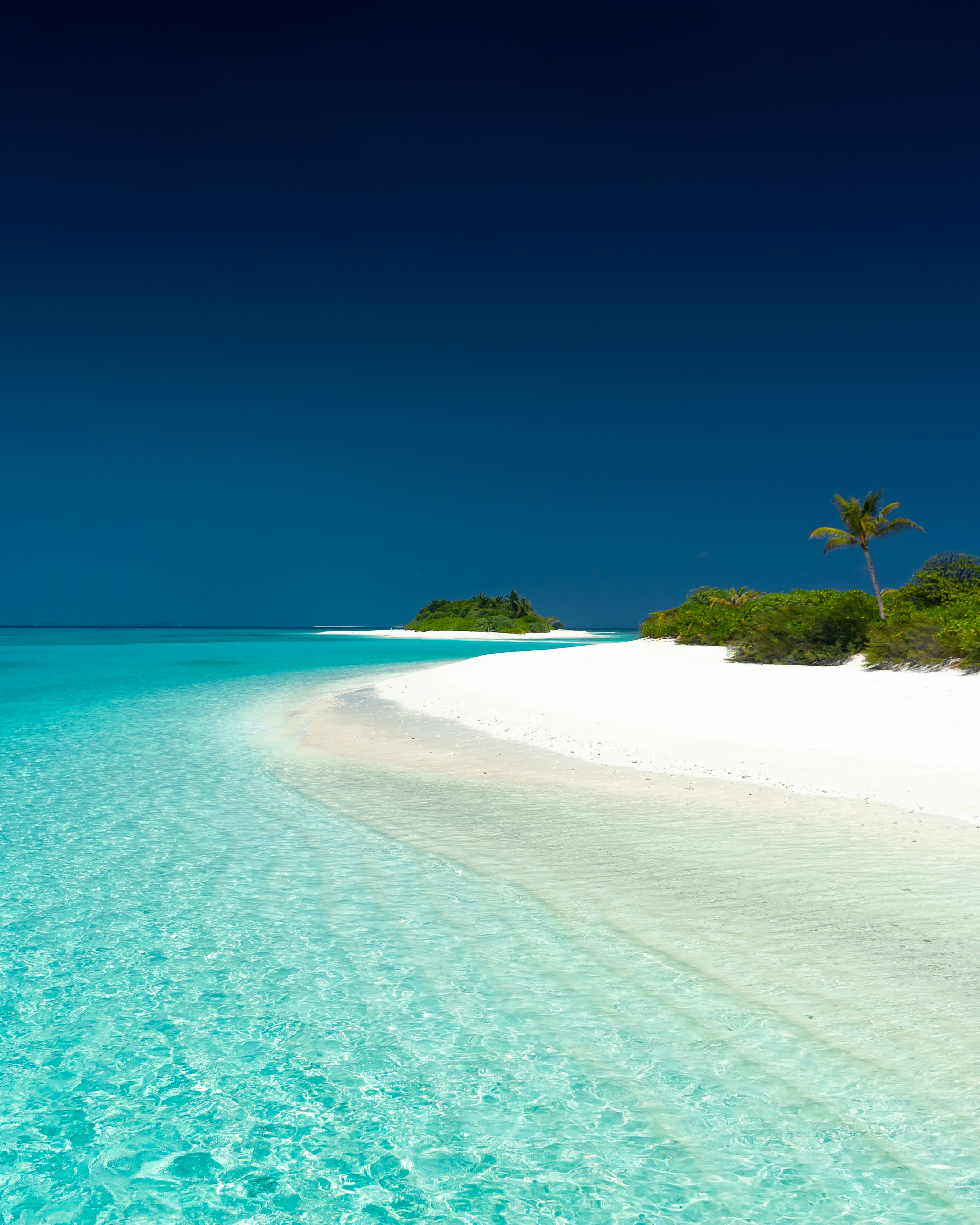 beach, ocean, palms, nature, sand, sky, island Phone Background