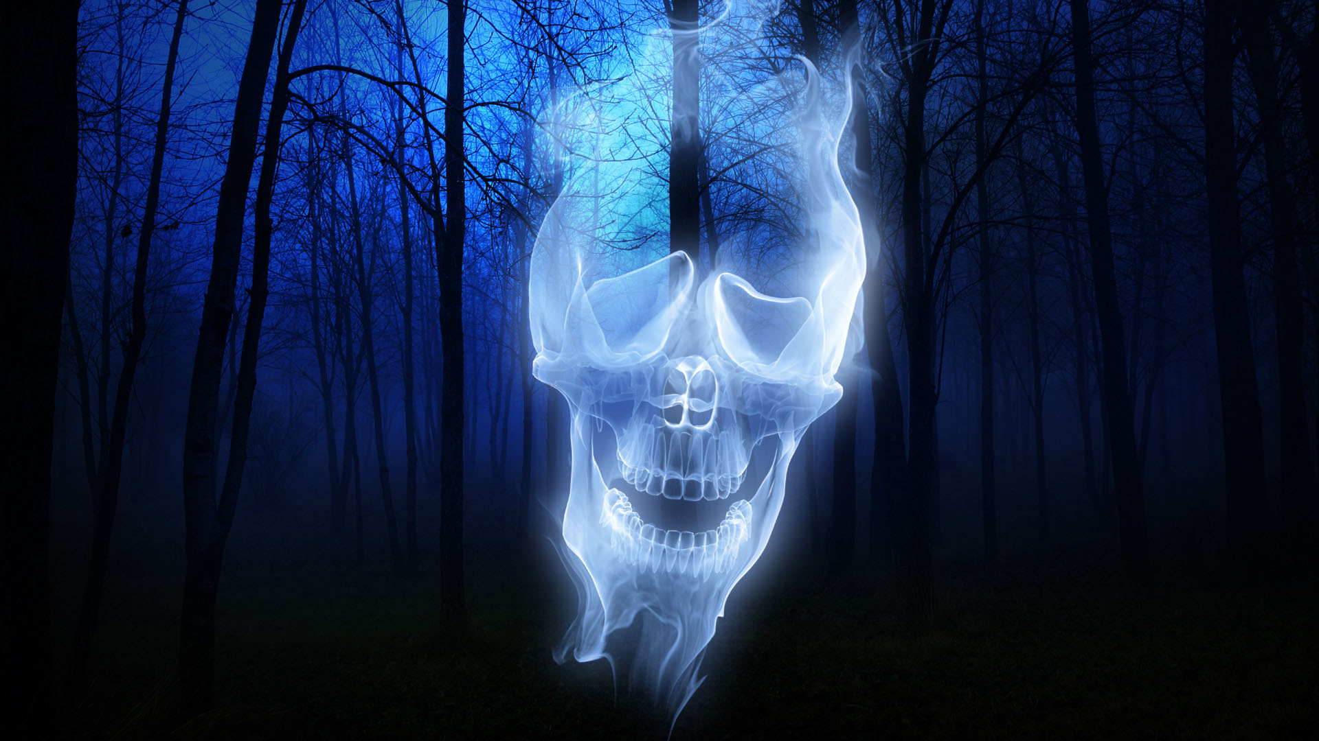 Widescreen image spooky, holiday, halloween, forest