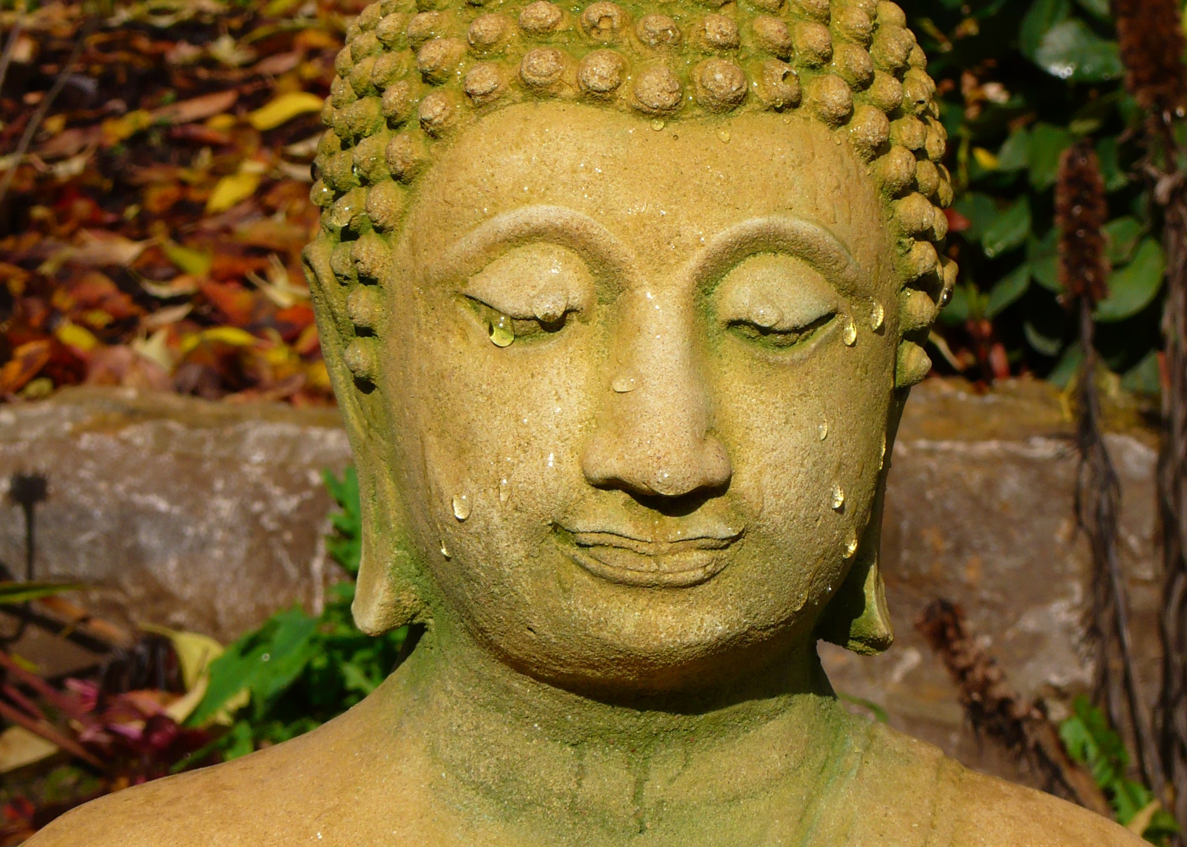 buddha, religious Smartphone Background