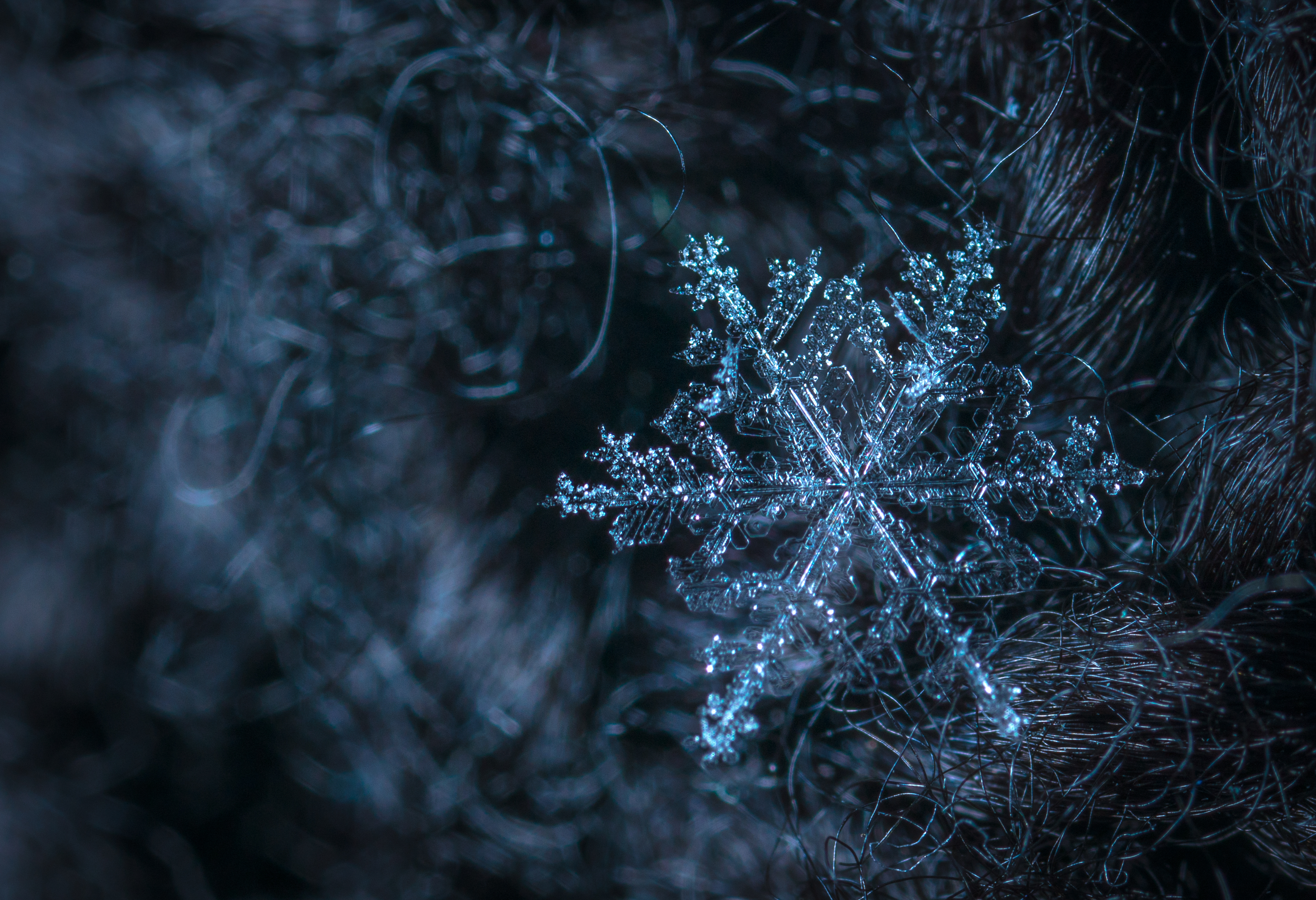 Snowflake iPhone Background