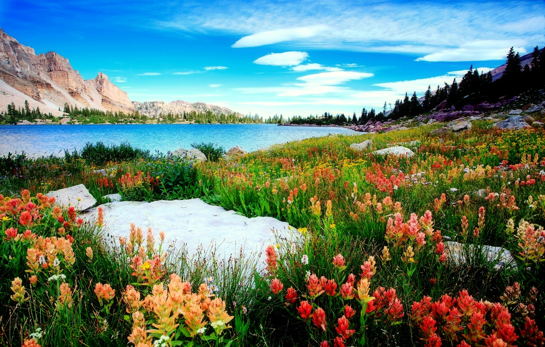 359096 скачать обои природа, цветок, озеро, гора, озера, земля/природа, ландшафт - заставки и картинки бесплатно
