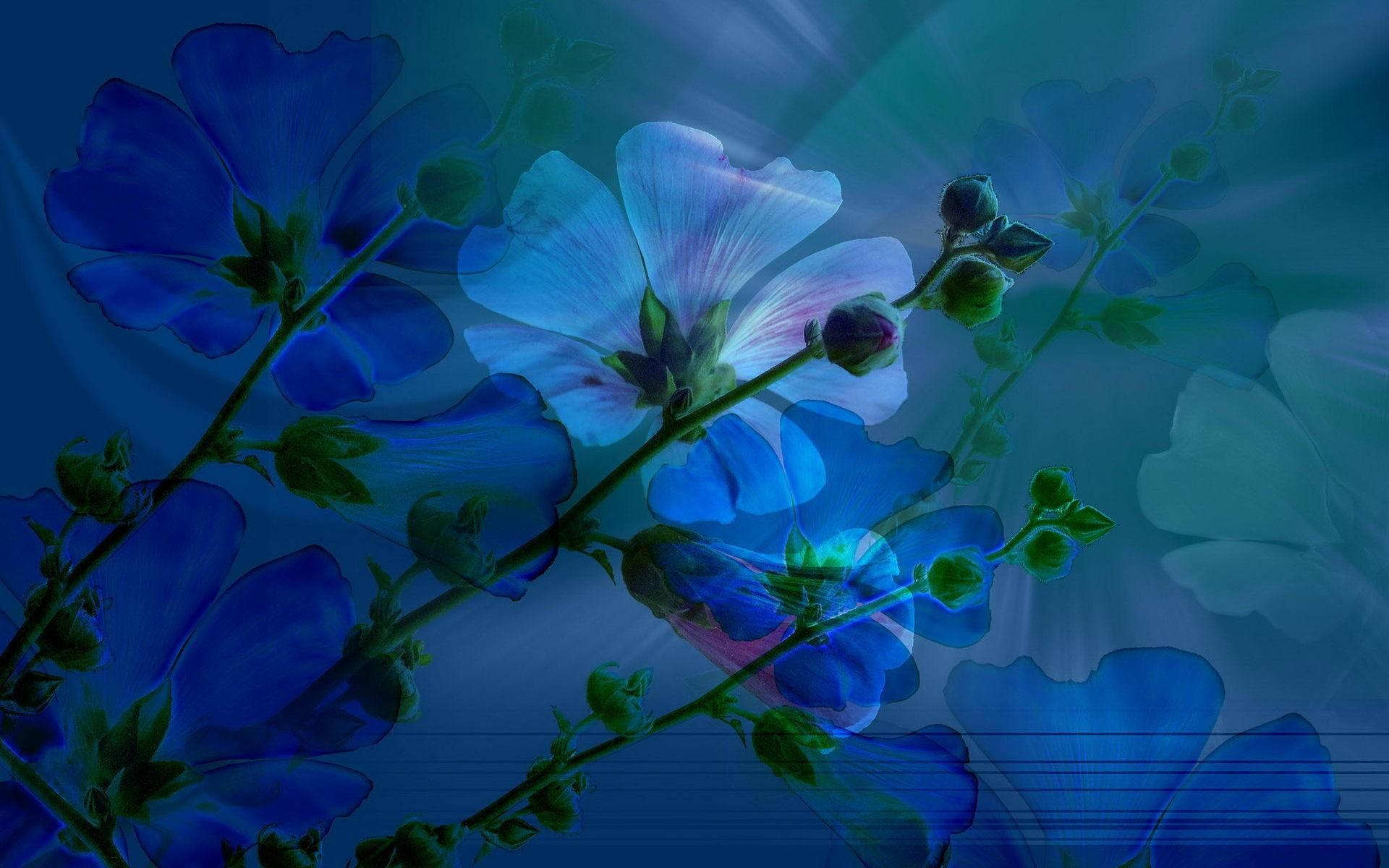 artistic, flower, blue flower, flowers Free Pure 4K Ultra