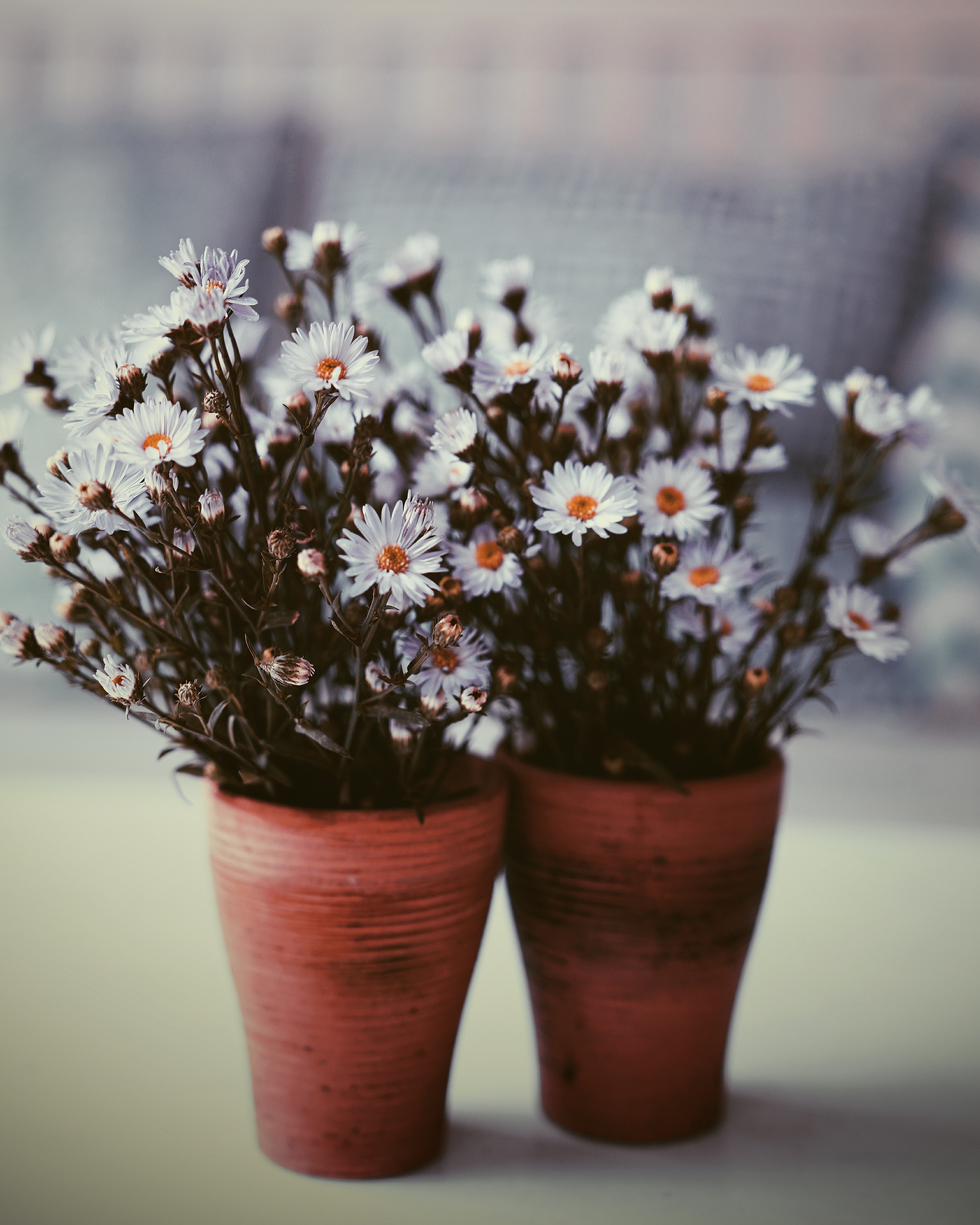 123066 download wallpaper flowers, bouquets, blur, smooth, vase screensavers and pictures for free