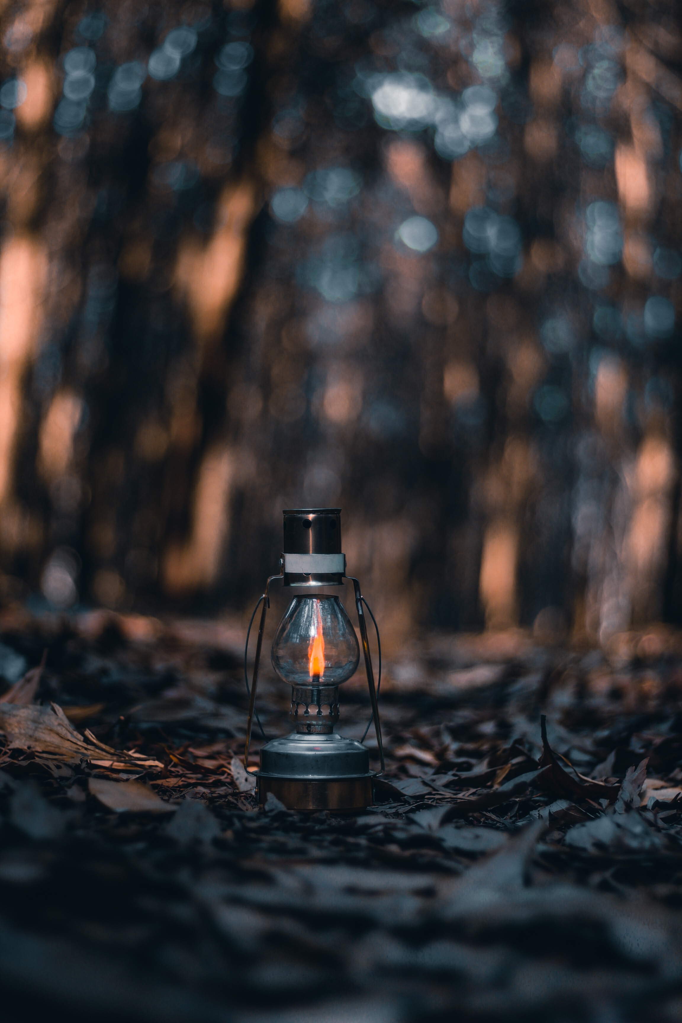 lantern, miscellanea, leaves, autumn, fire, miscellaneous, lamp, dry Smartphone Background