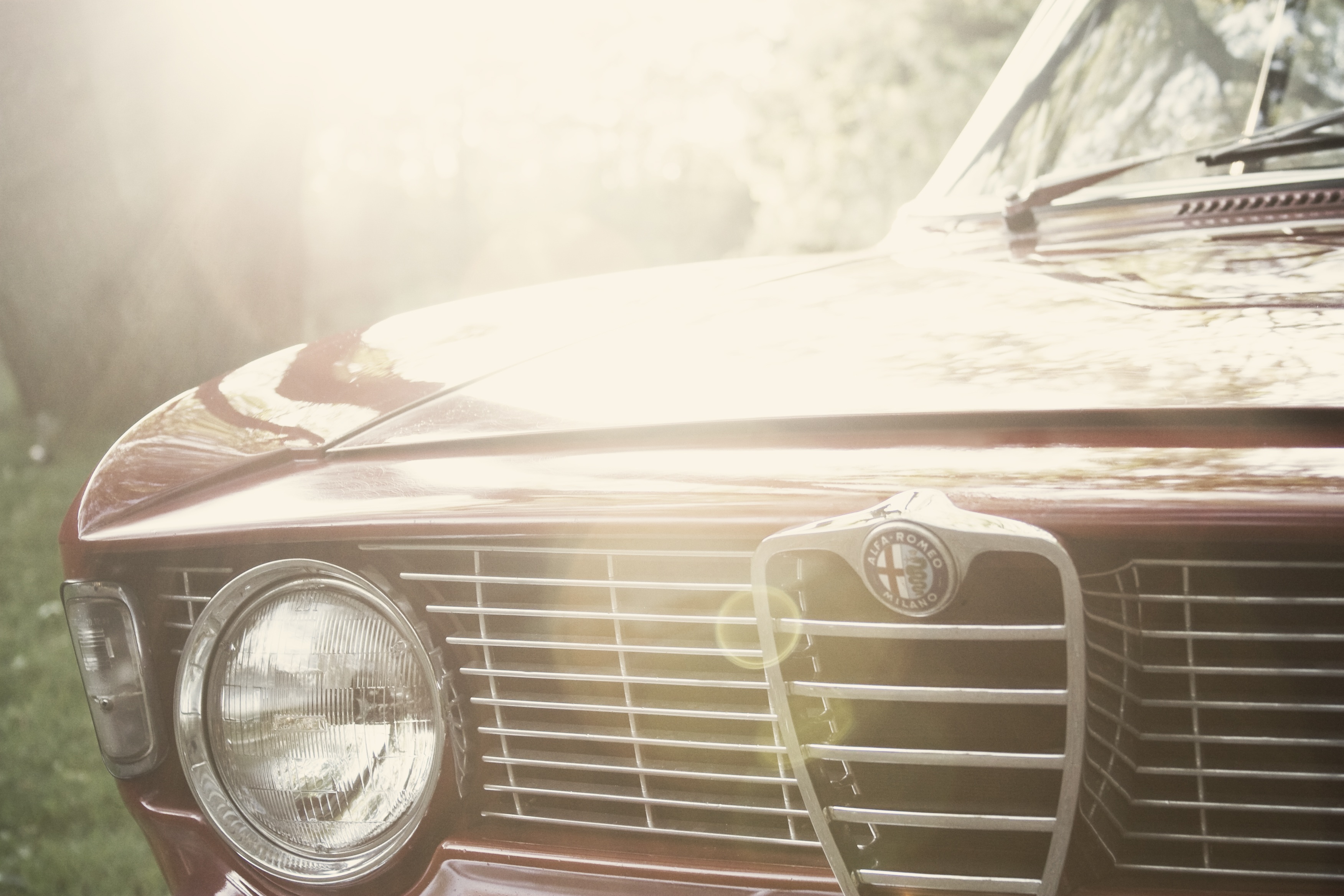 105645 Bildschirmschoner und Hintergrundbilder Alfa Romeo auf Ihrem Telefon. Laden Sie logo, stoßstange, cars Bilder kostenlos herunter