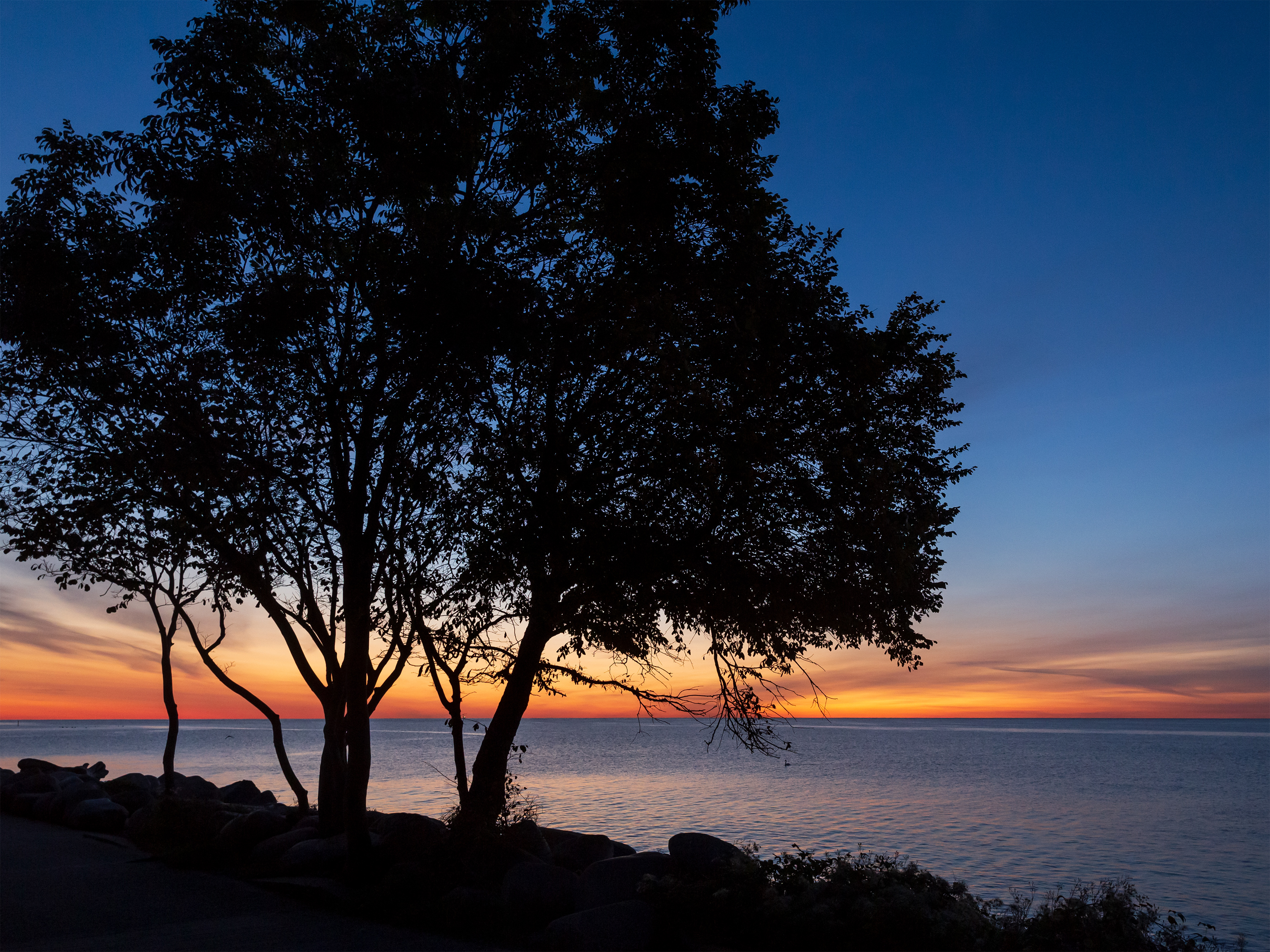 sea, water, trees, sunset, horizon, dark, silhouettes phone background