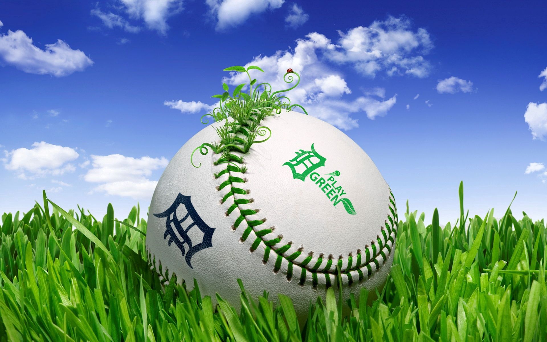 sports, grass, ball, clouds Lawn HD Android Wallpapers