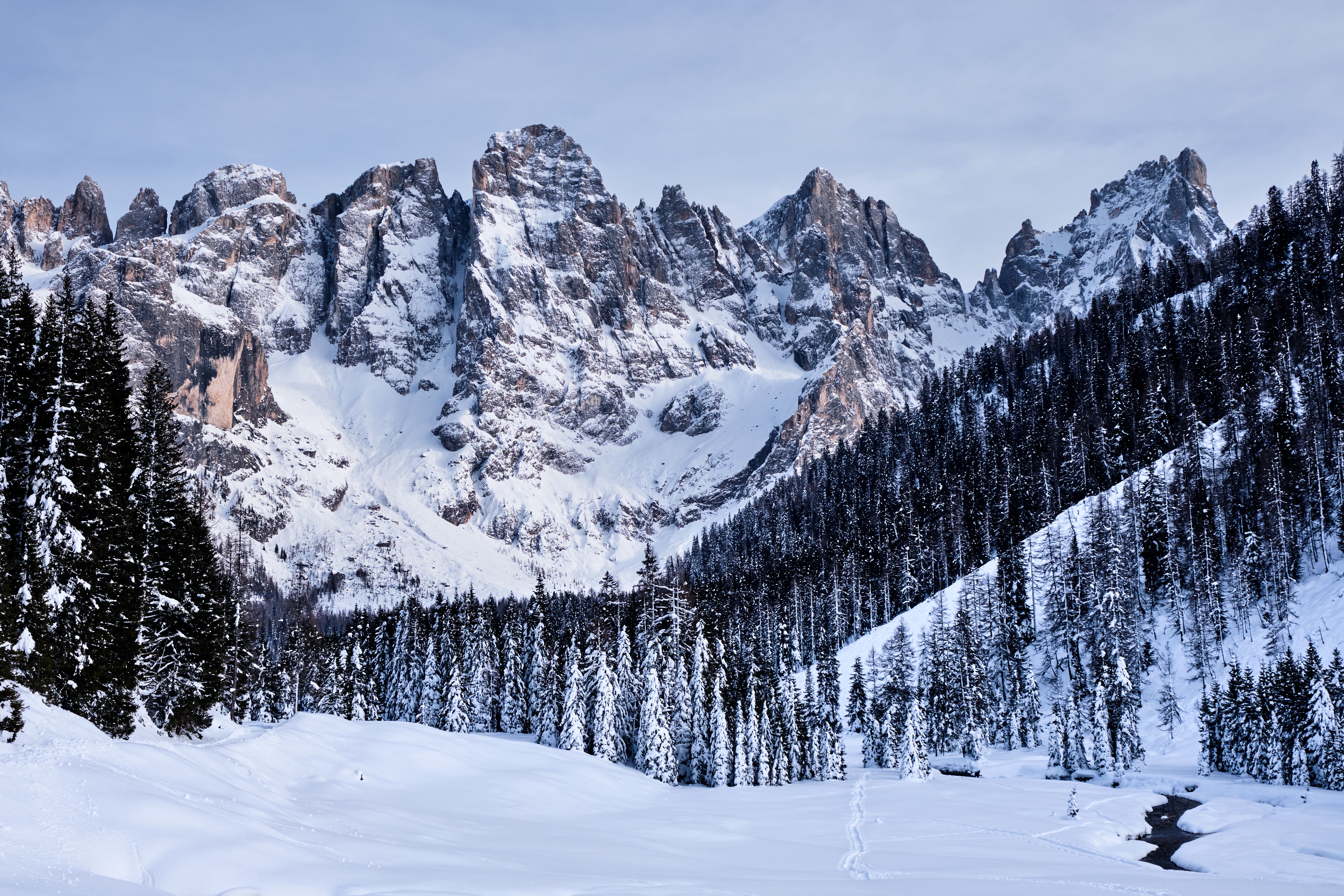 113971 Bildschirmschoner und Hintergrundbilder Winter auf Ihrem Telefon. Laden Sie mountains, italien, schneebedeckt, bäume Bilder kostenlos herunter
