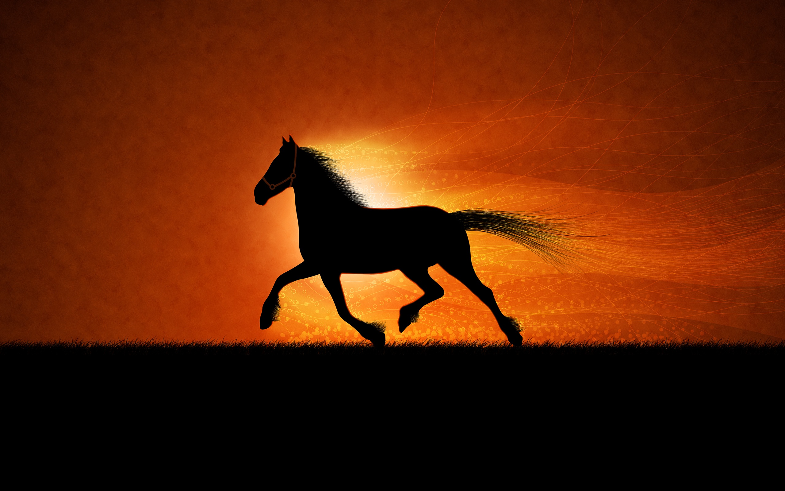 sunset, running, horse, animal, artistic 2160p