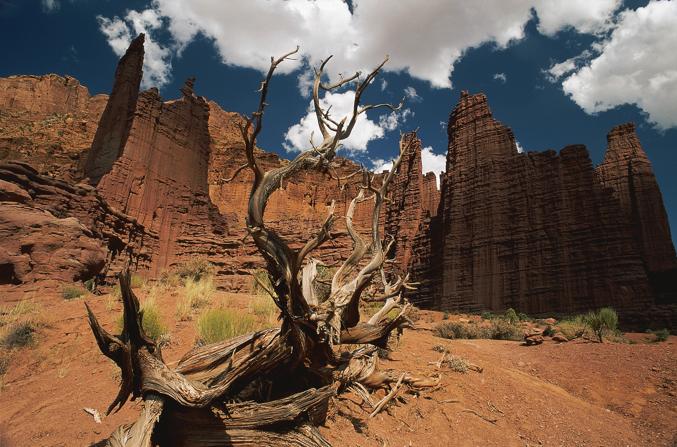 wall, sky, nature, clouds, wood, tree, shadow, canyons, dead