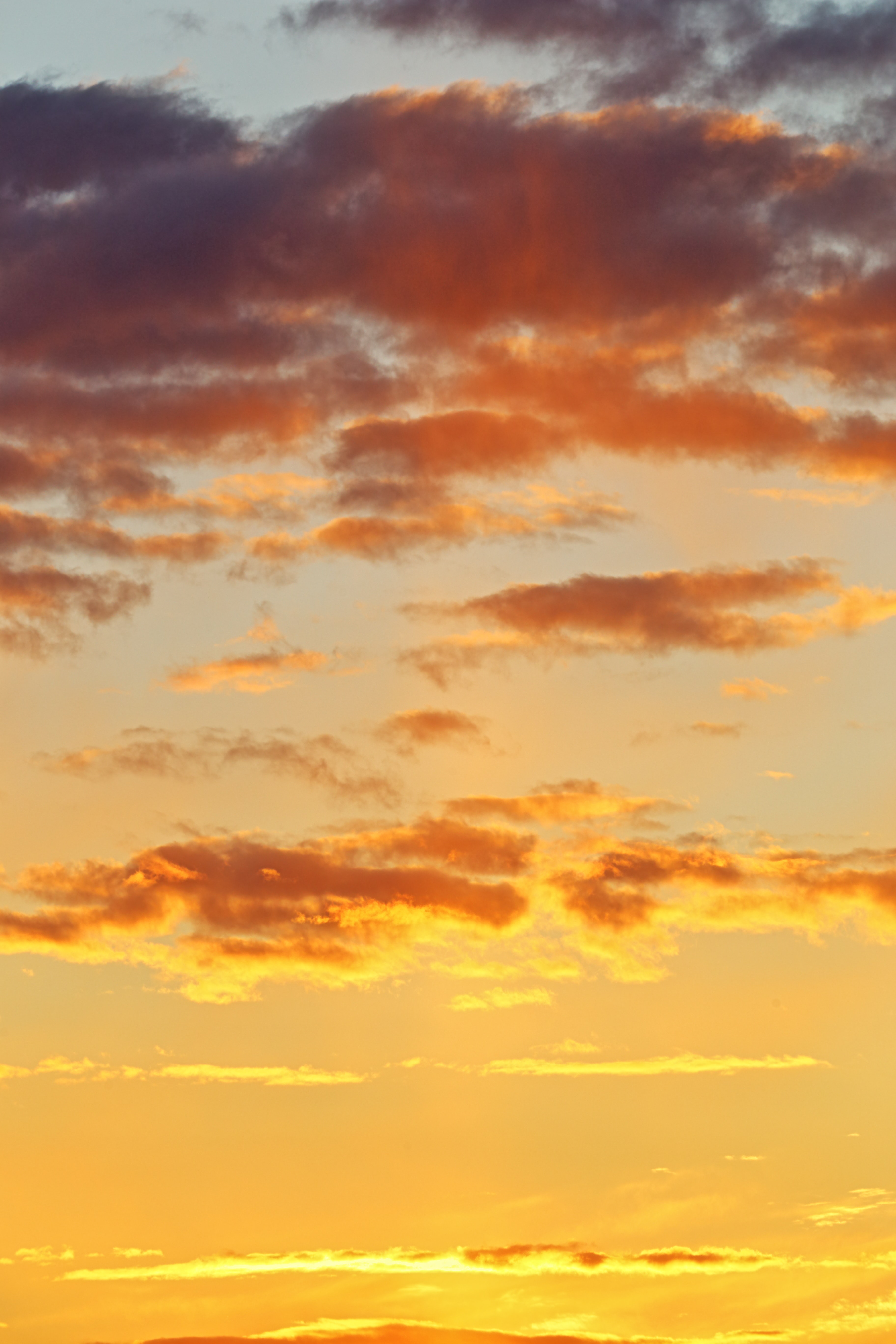 sunset, sky, nature, clouds HD Phone wallpaper