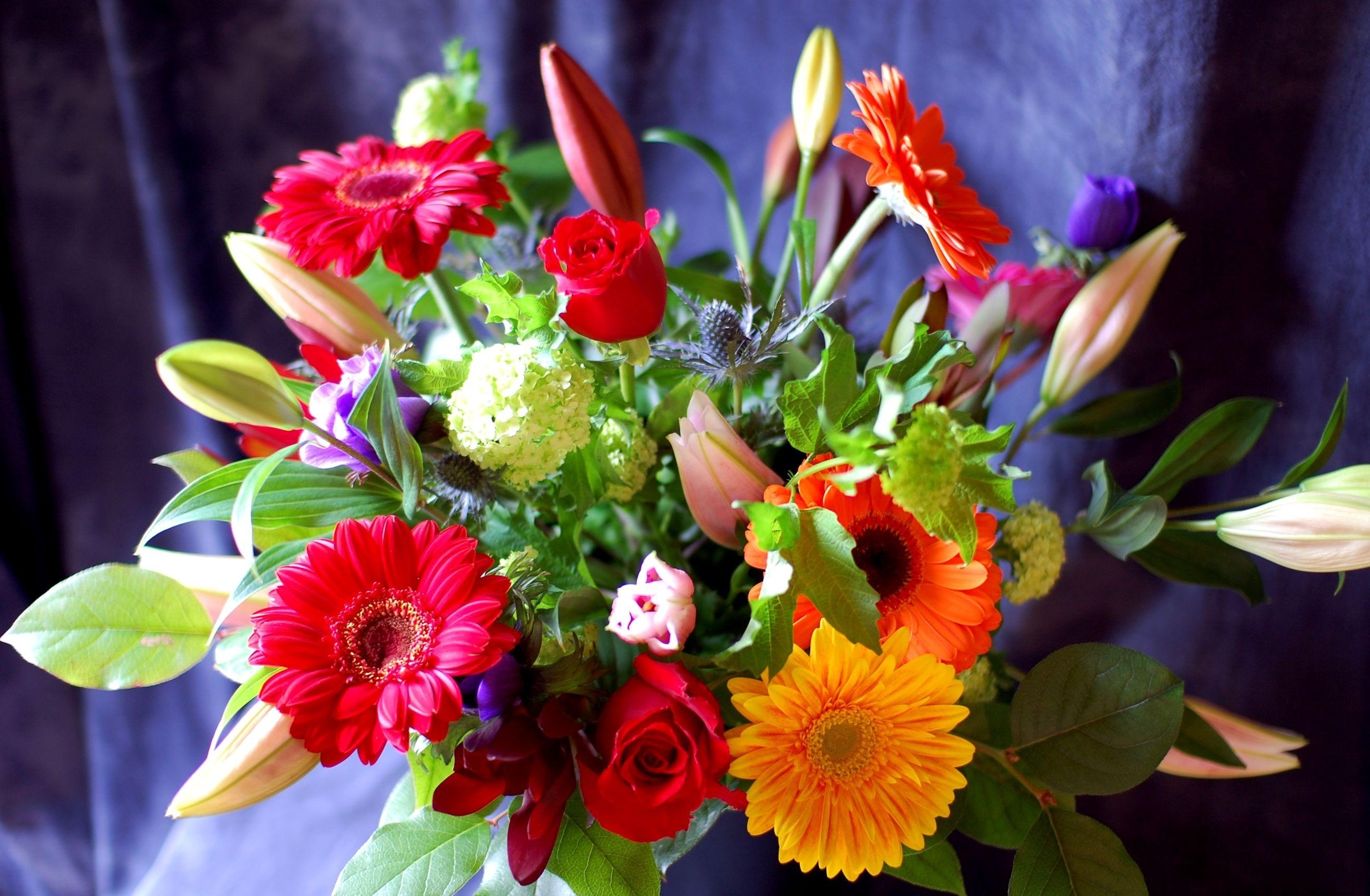 Laden Sie das Blumen, Roses, Lilien, Gerbera, Typografie, Anmeldung, Strauß, Bouquet, Herrlich, Chic, Hortensie-Bild kostenlos auf Ihren PC-Desktop herunter