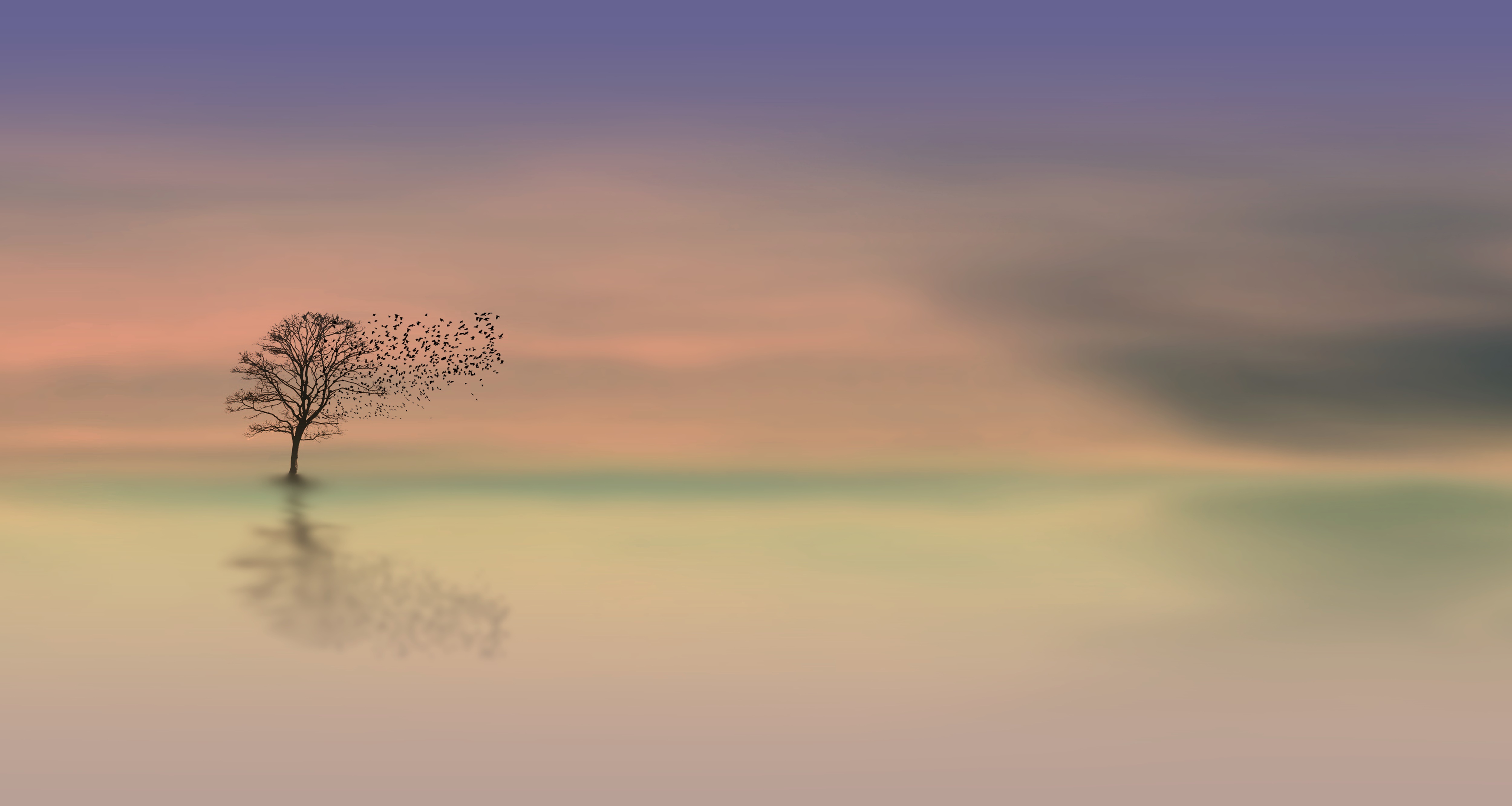 52245 download wallpaper dawn, horizon, wood, tree, minimalism, alone, lonely screensavers and pictures for free