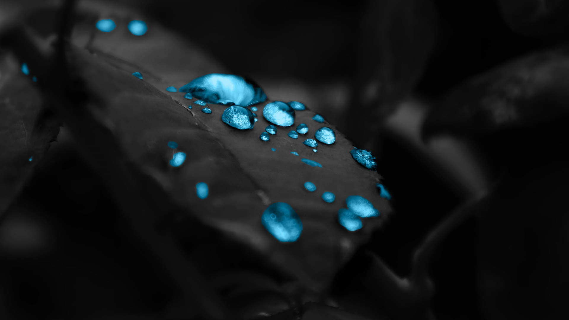 HD Water Drop Android Images