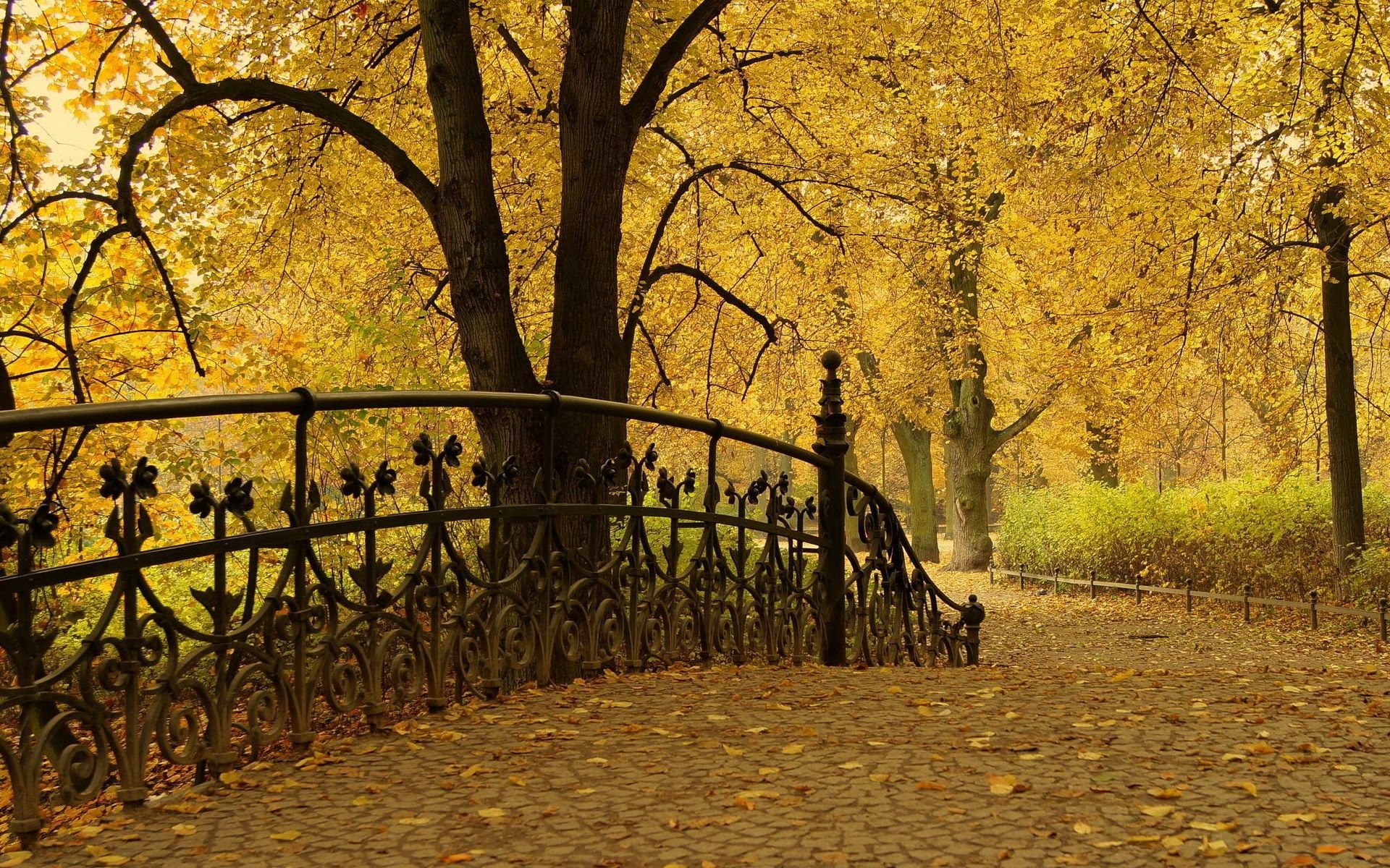 Handy-Wallpaper Natur, Bäume, Herbst, Blätter, Der Park, Park, Brücke, Geländer, Handlauf kostenlos herunterladen.
