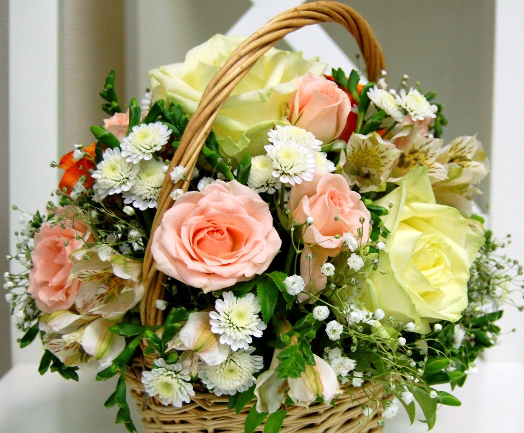 basket, gypsophilus, handsomely, roses Full HD