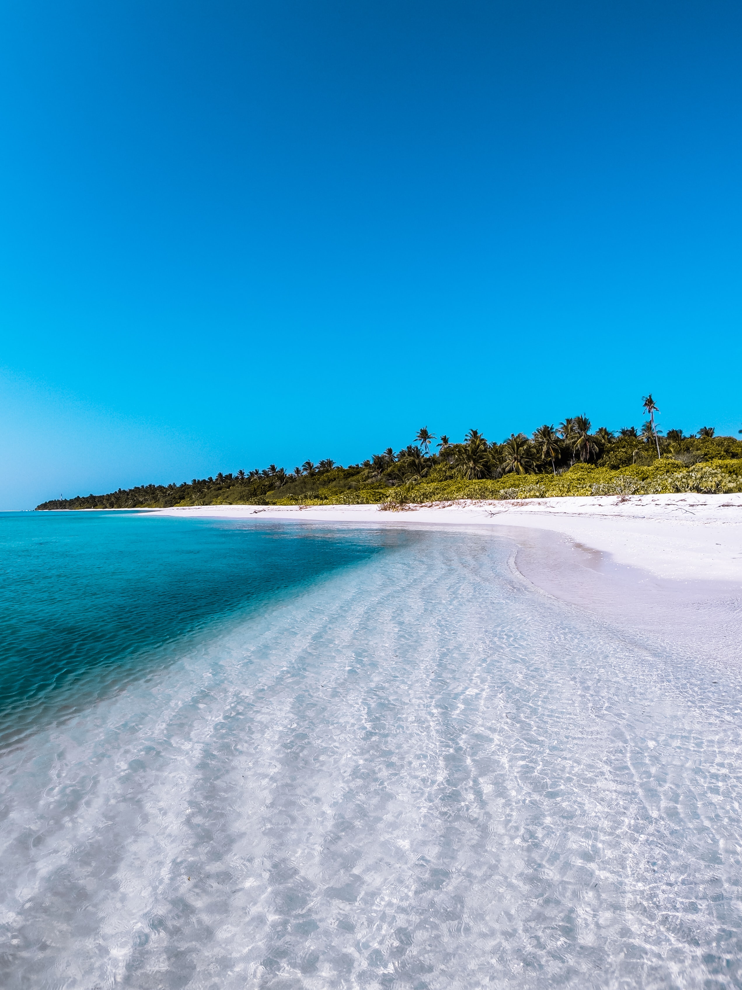 palms, maldives, nature, island Beach Full HD Wallpaper
