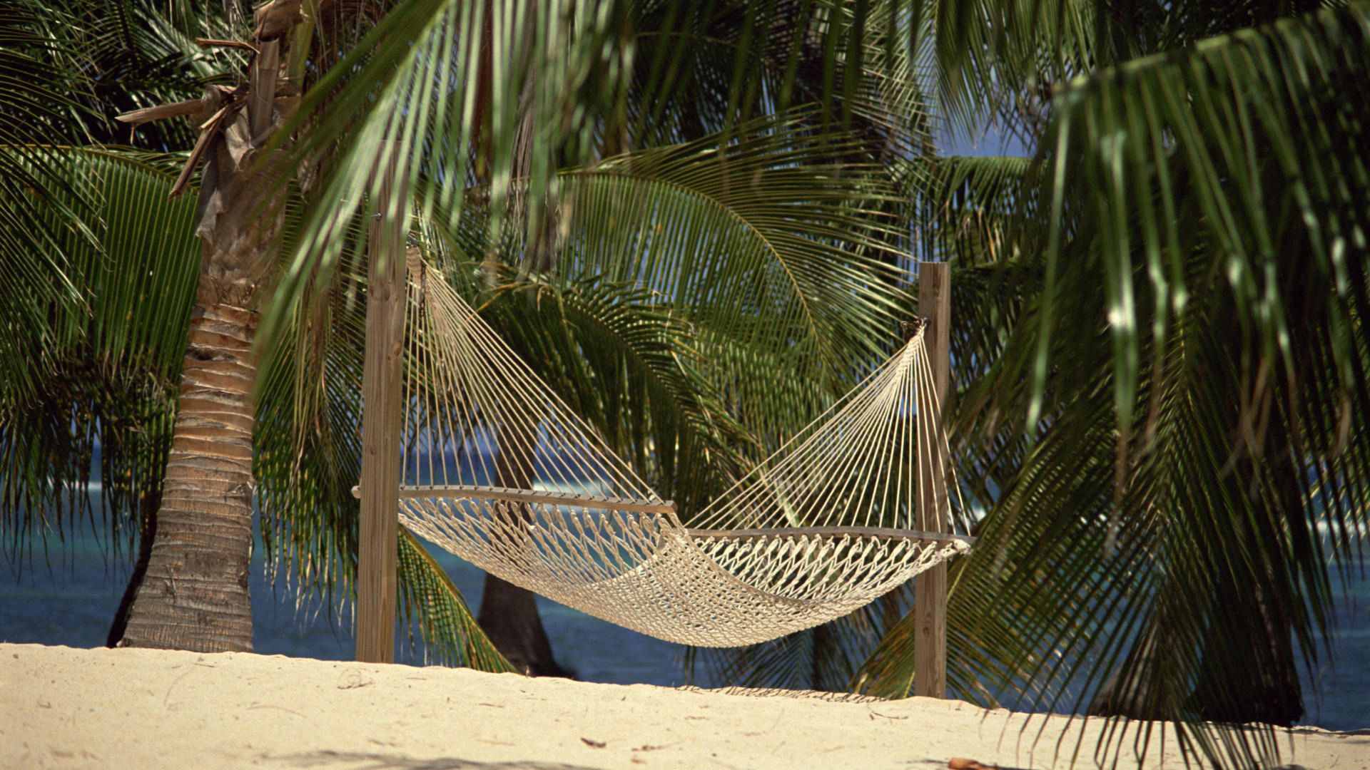 hammock, nature, palms, sand Phone Wallpaper
