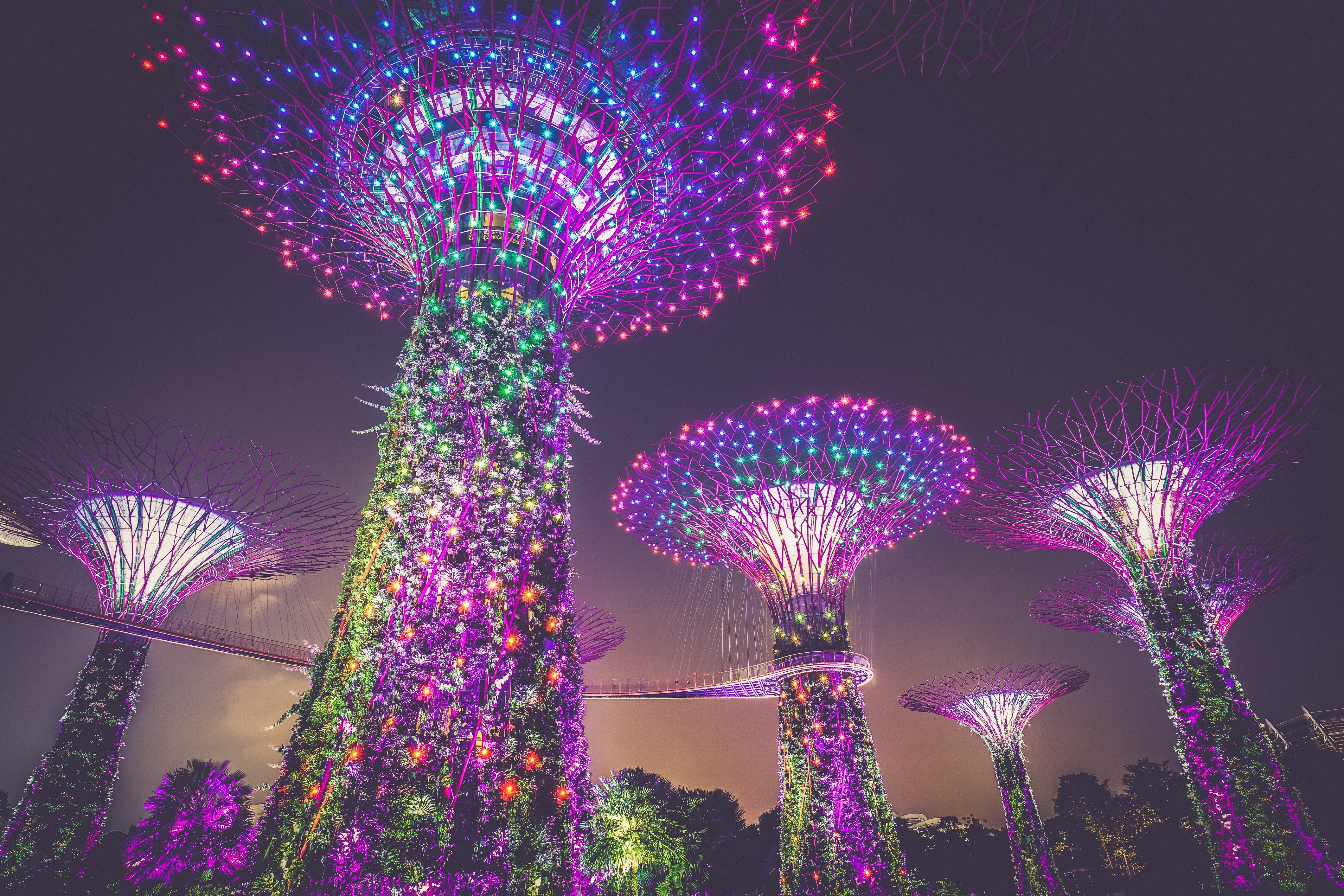singapore, lighting, decoration, artificial trees, cities, city, illumination QHD